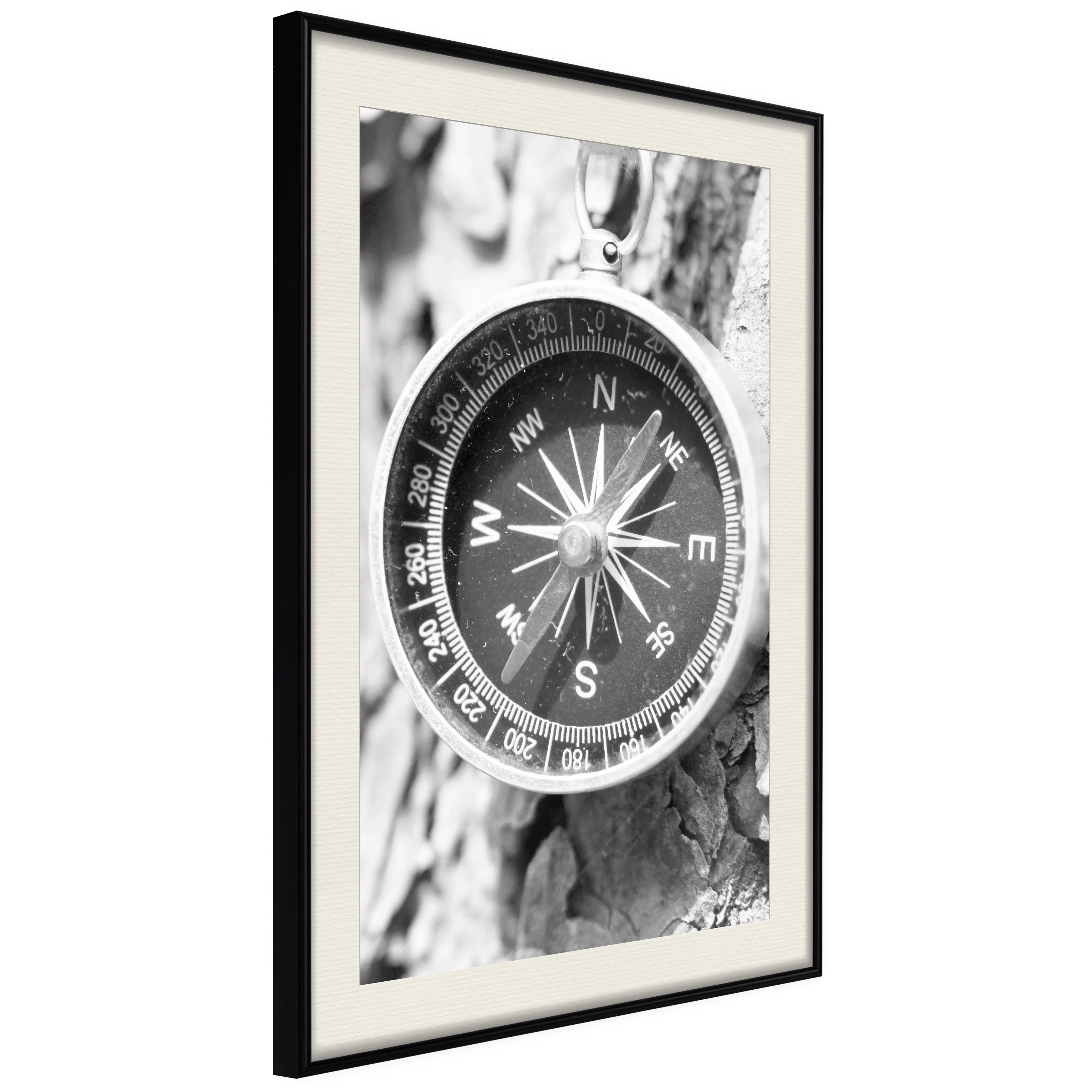 Poster Artgeist Affisch Black and White Compass