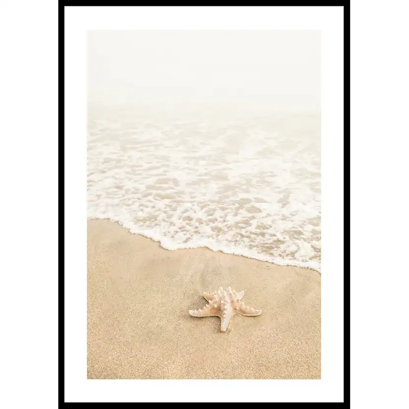 Shoreline Starfish 50x70 50x70 cm