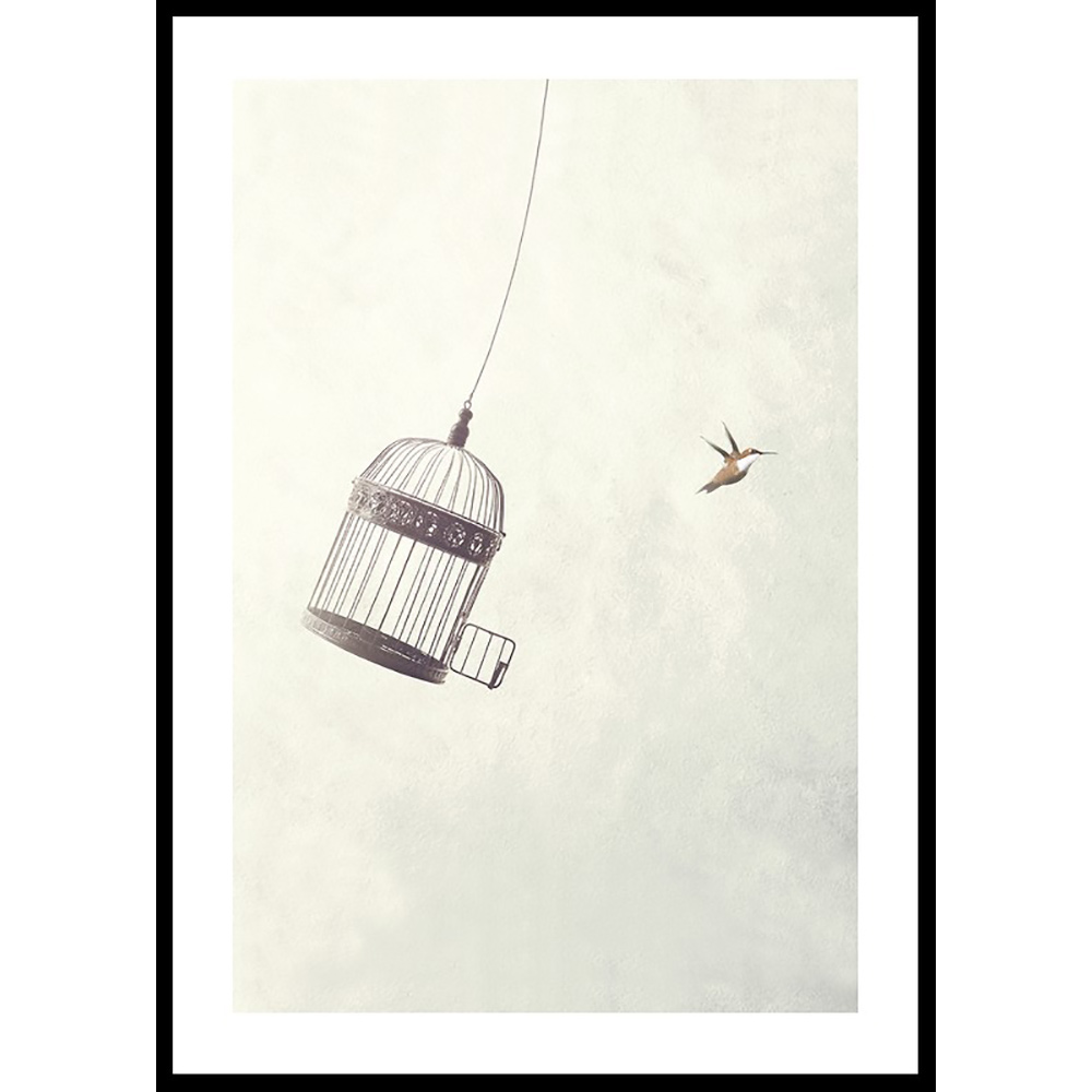 Poster Gallerix Flying Towards Freedom