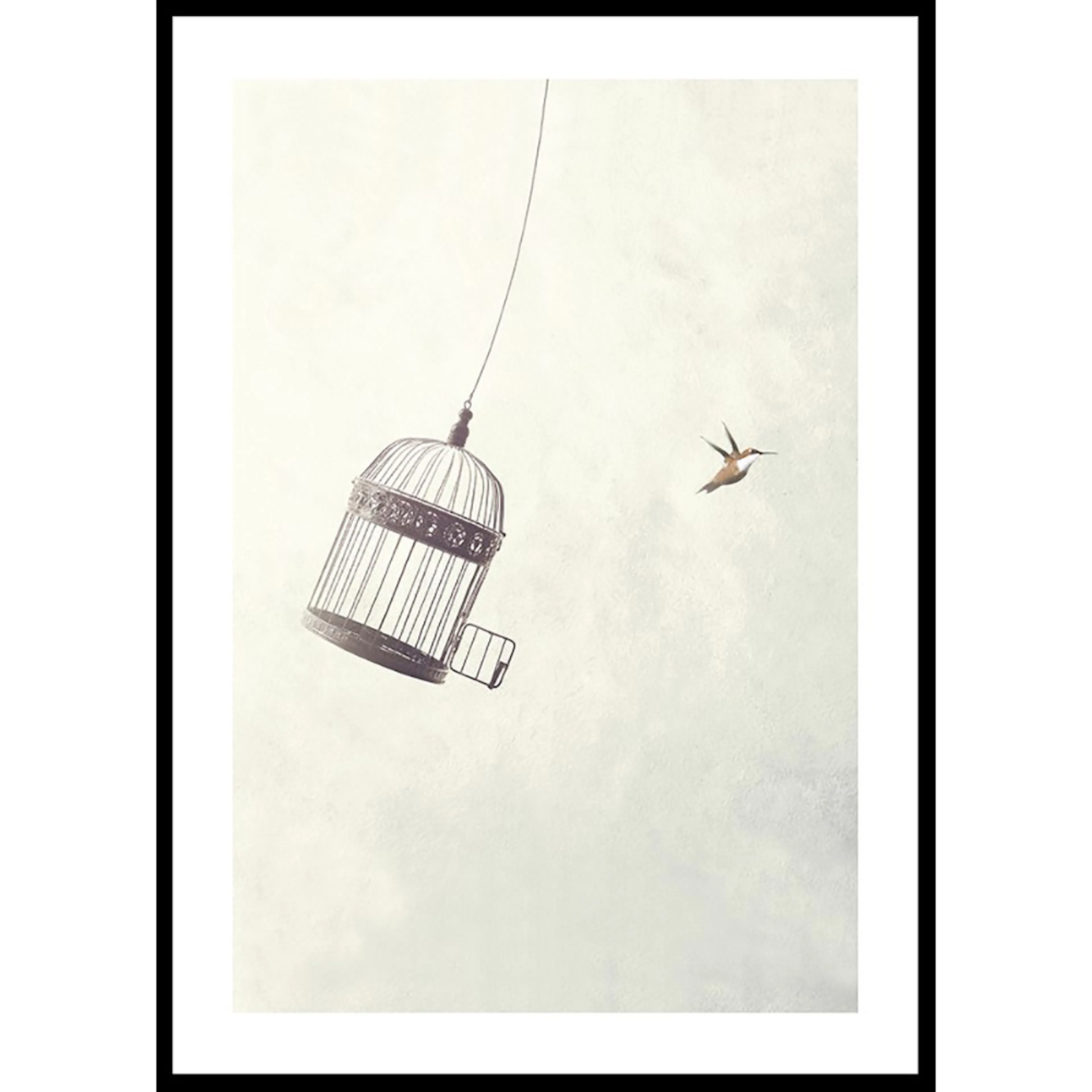 Poster Gallerix Flying Towards Freedom