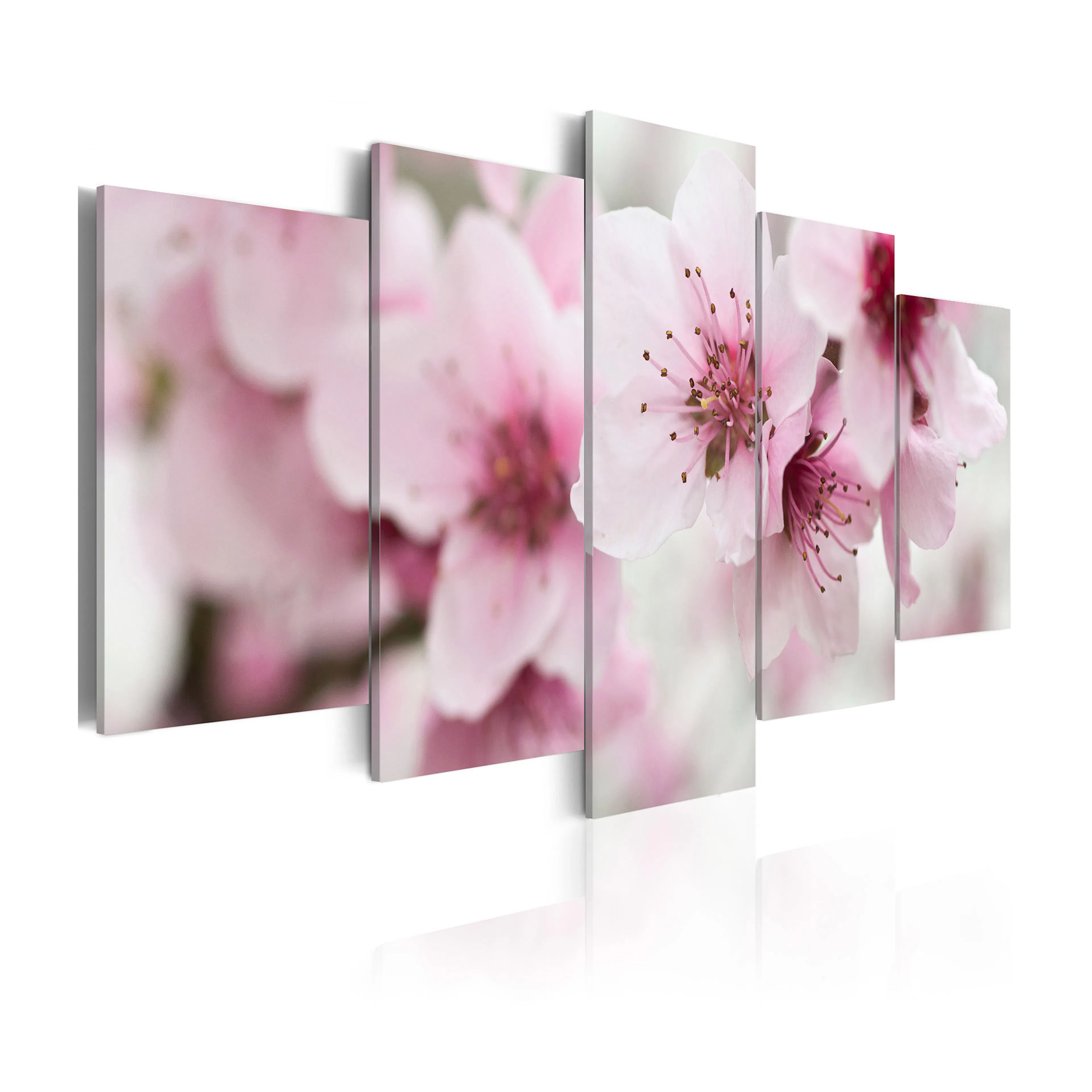 Tavla Arkiio Cherry Gentleness And Beauty