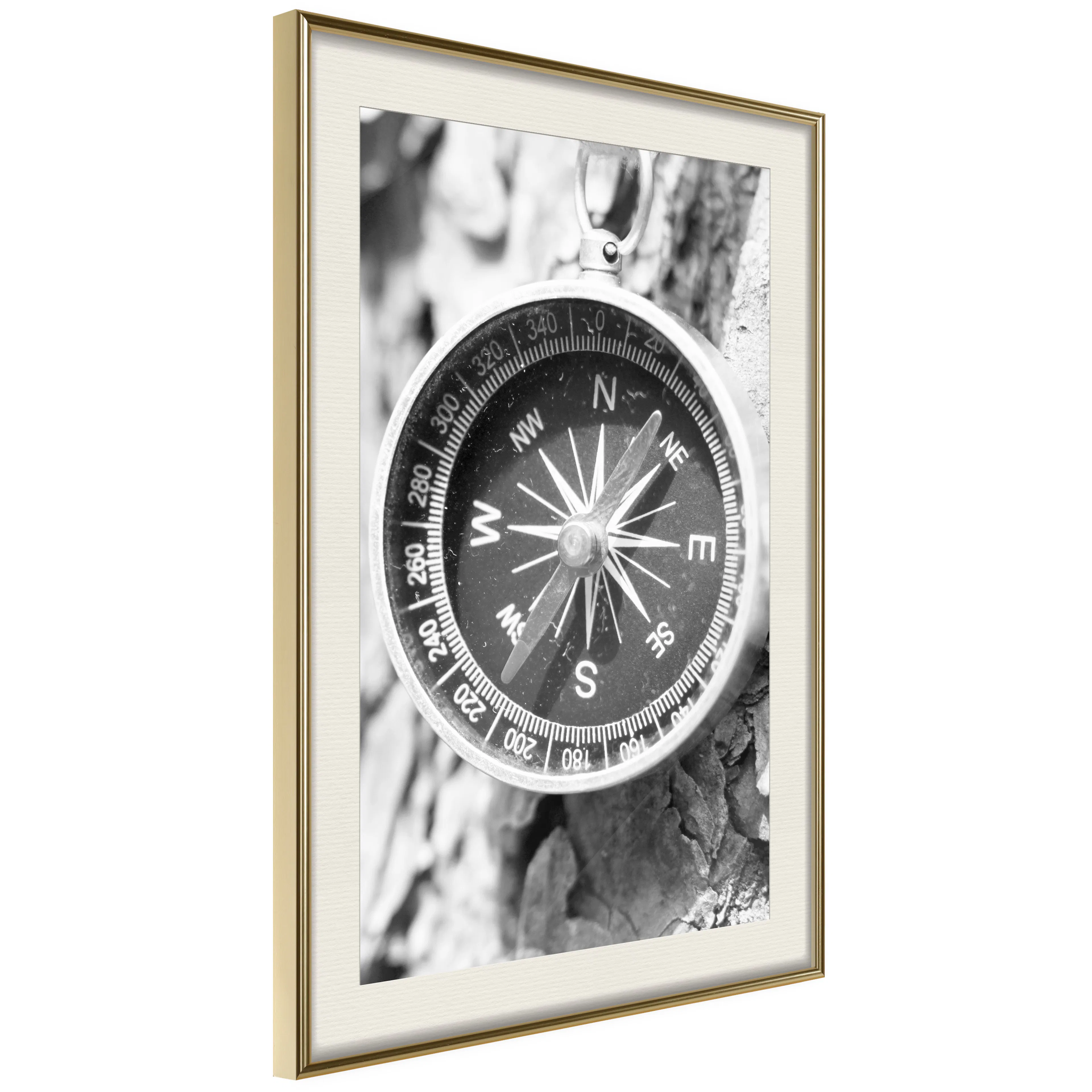Poster Artgeist Affisch Black and White Compass