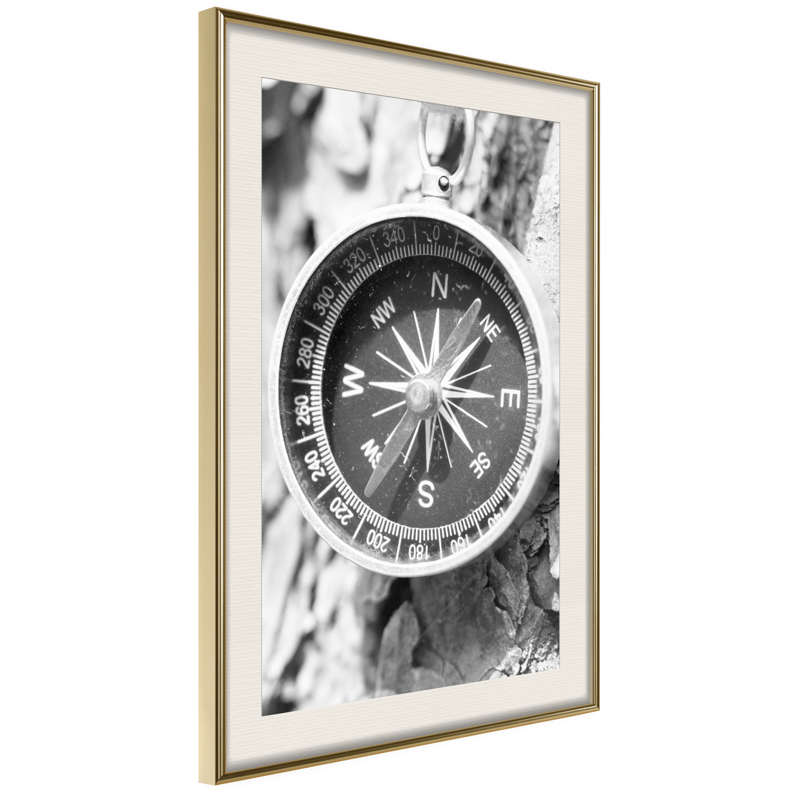 Poster Artgeist Affisch Black and White Compass