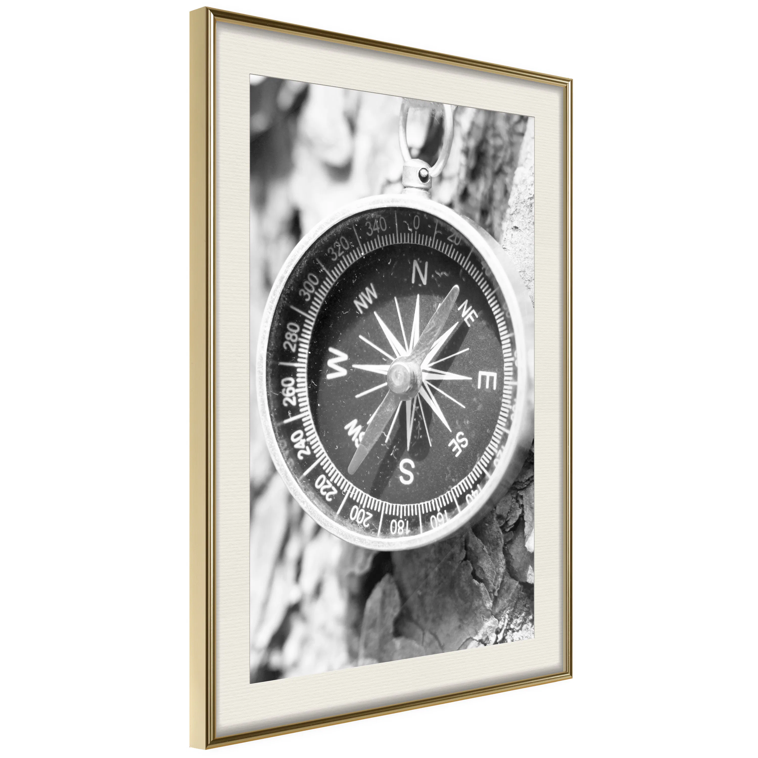 Poster Artgeist Affisch Black and White Compass