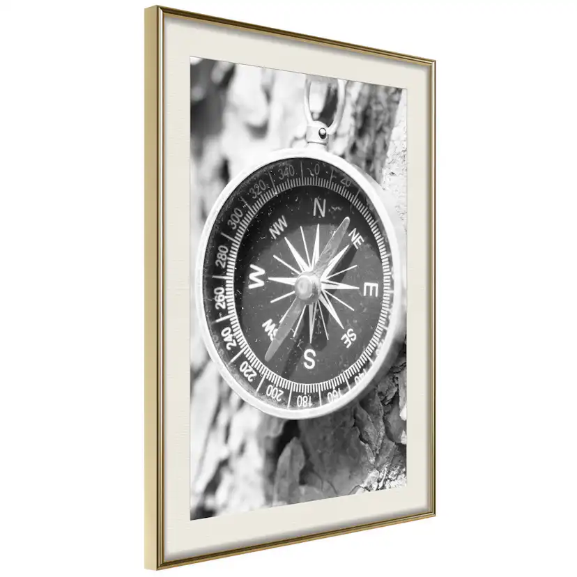 Poster Artgeist Affisch Black and White Compass