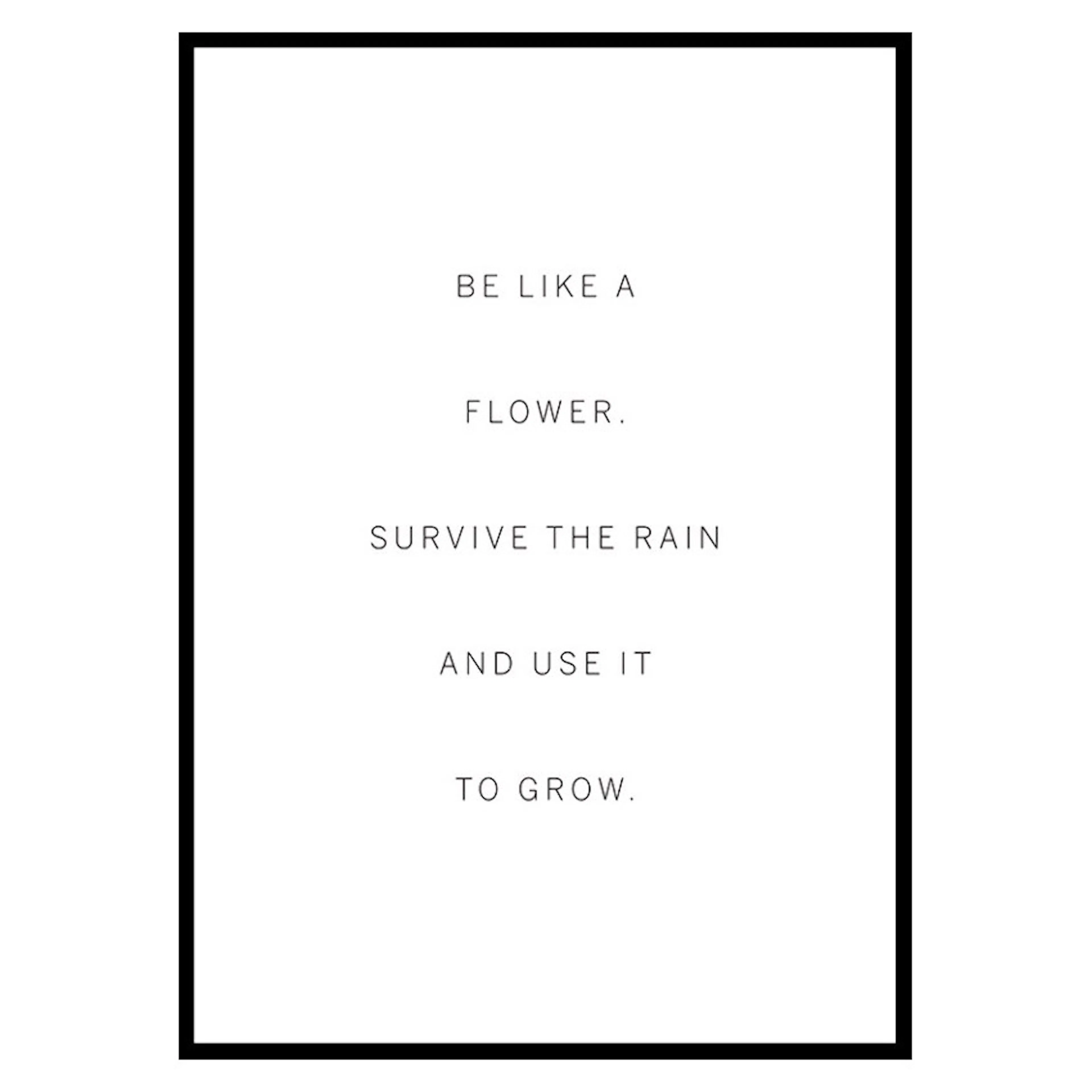 Poster Gallerix Like A Flower