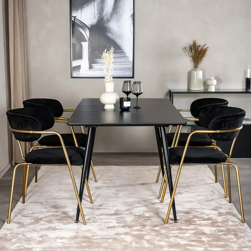 Matgrupp Venture Home Silvia med Iläggsskiva och 4 Aris Karmstolar