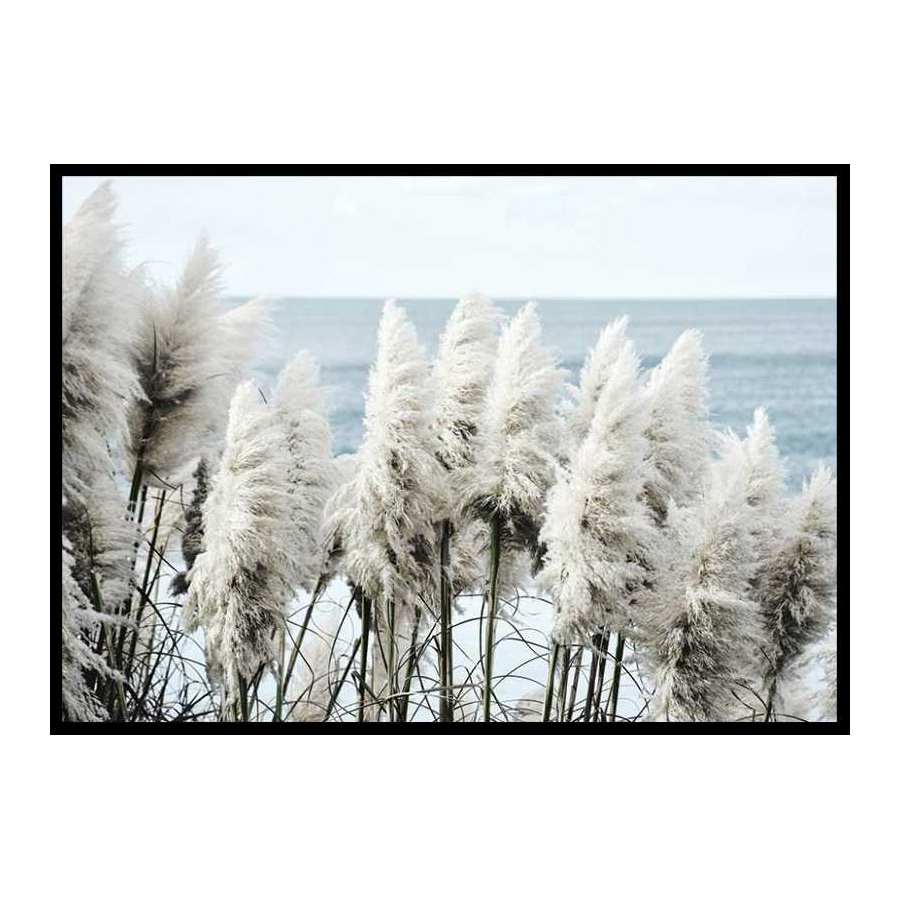 Poster Gallerix Toitoi Grass