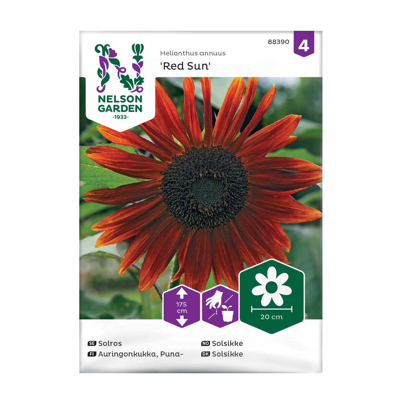 Frö Solros Nelson Garden Red Sun Hög