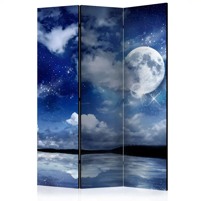 Rumsavdelare Arkiio Magic Night 135x172 cm