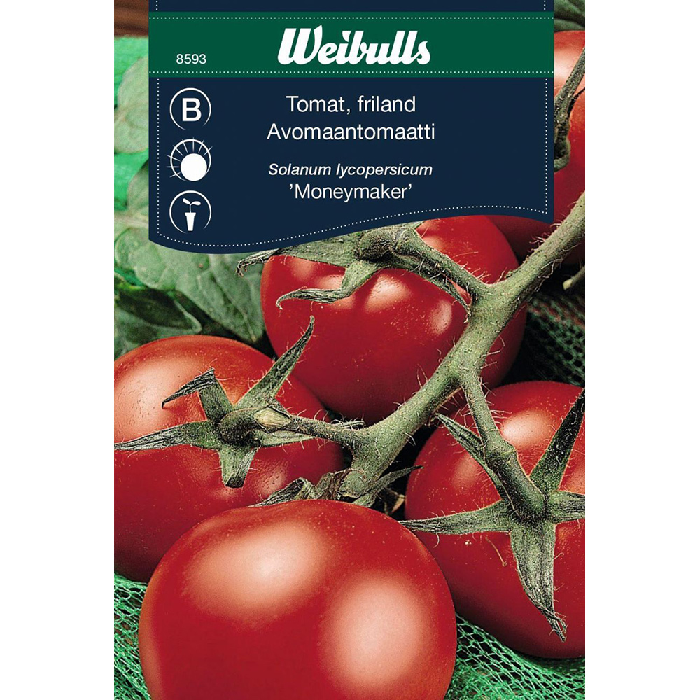 Frö Tomat Weibulls Friland Moneymaker