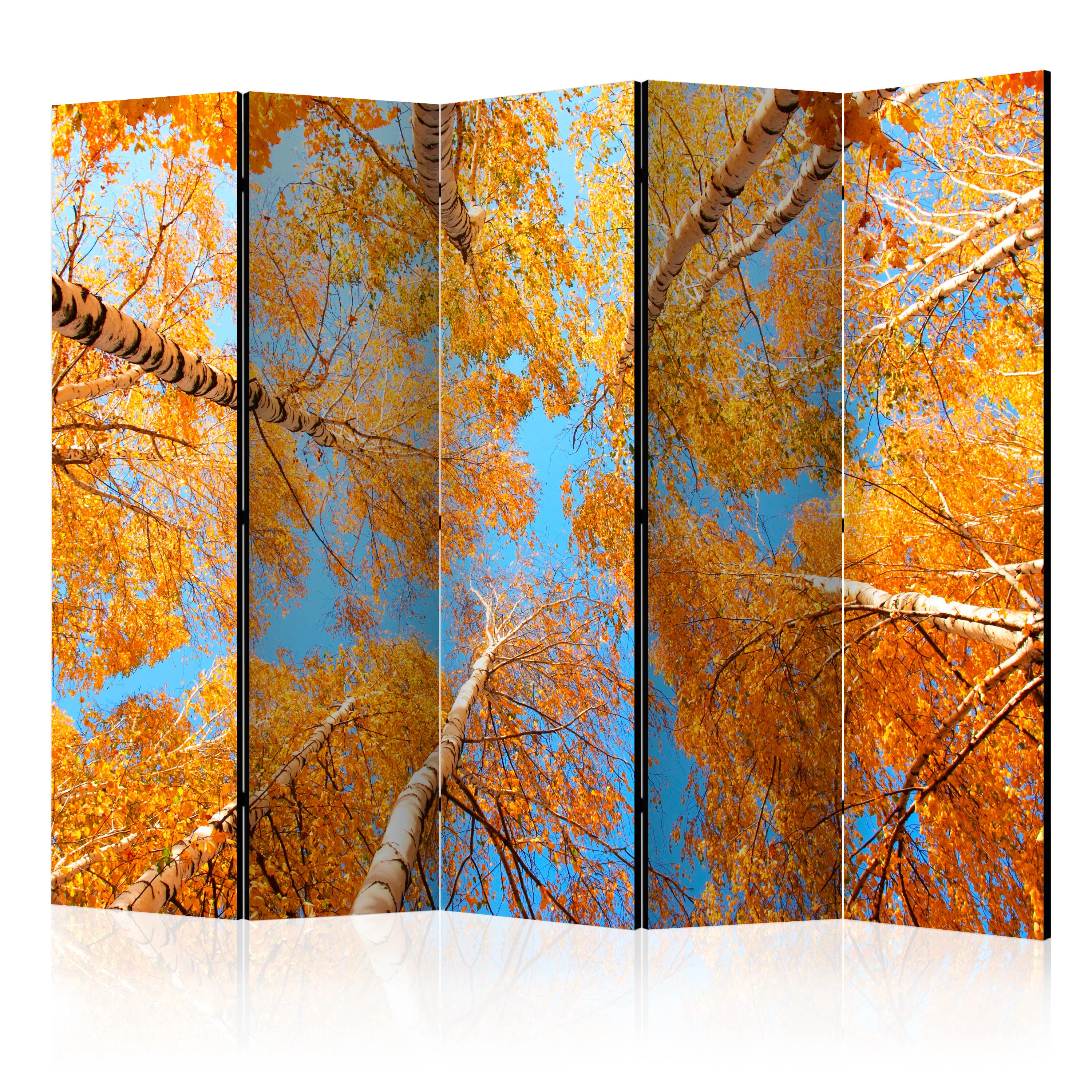 Rumsavdelare Arkiio Autumnal Treetops II 225x172 cm