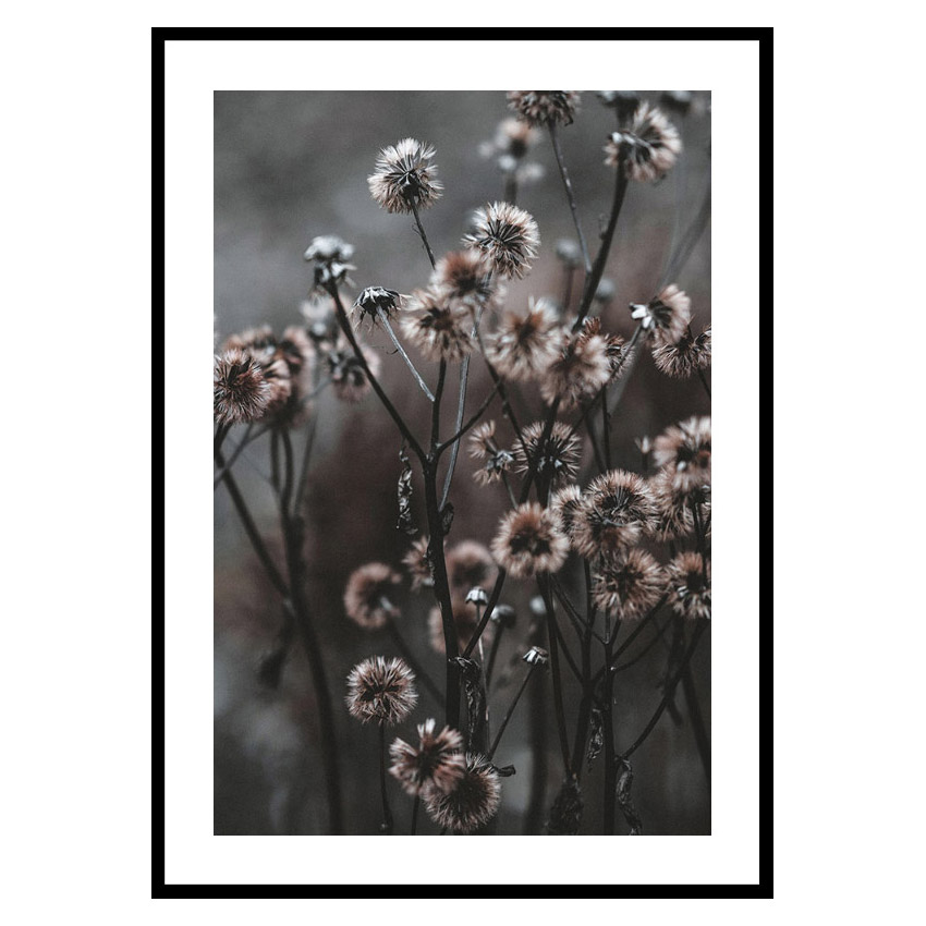 Poster Gallerix Forest Flowers