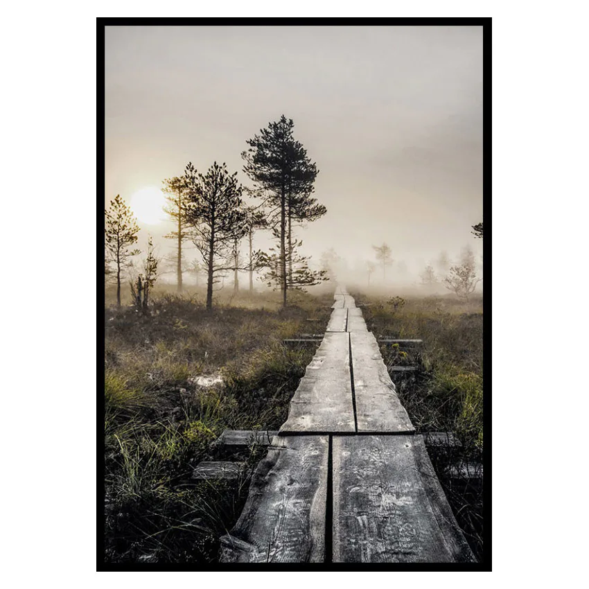 Poster Gallerix Torronsuo Wilderness