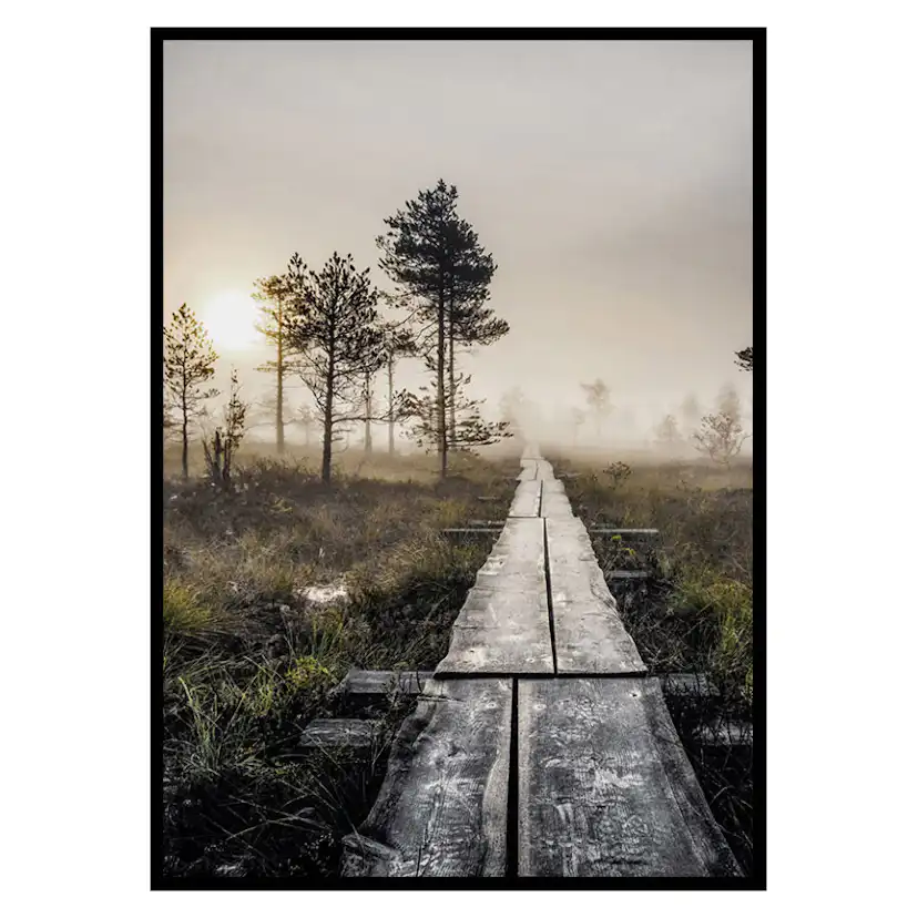 Poster Gallerix Torronsuo Wilderness