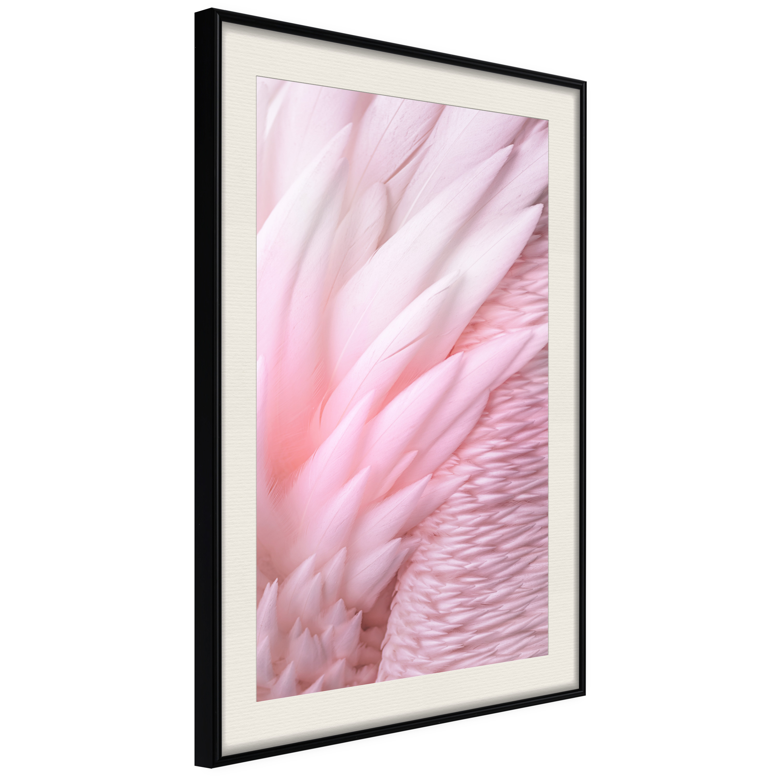 Affisch - Feathers [Poster] 30x45 Svart ram med passepartout, 30x45 cm