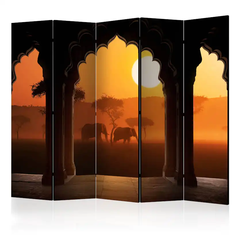 Rumsavdelare Arkiio Hear Africa II 225x172 cm