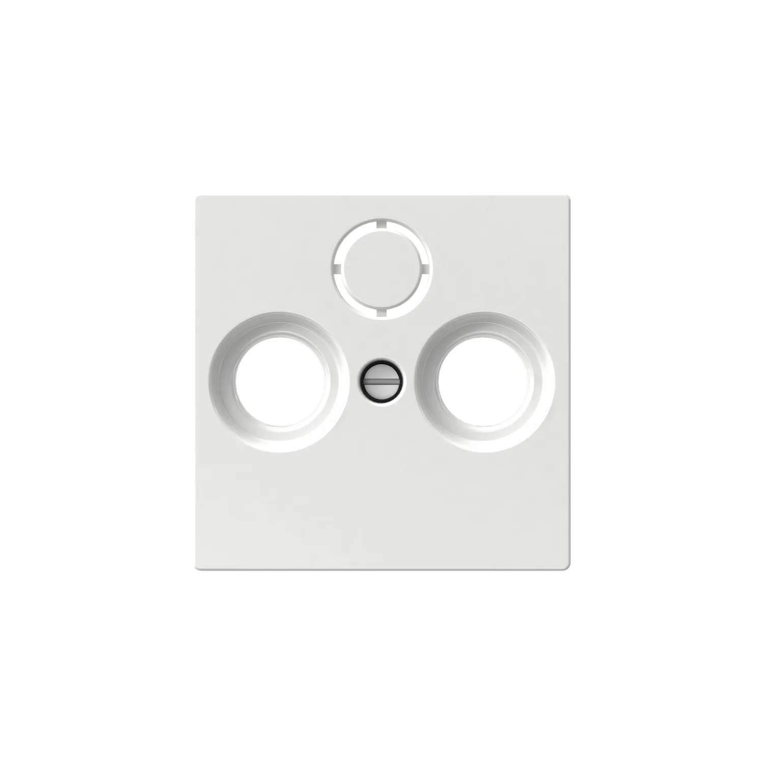 Centrumplatta Schneider Electric Exxact Antennuttag