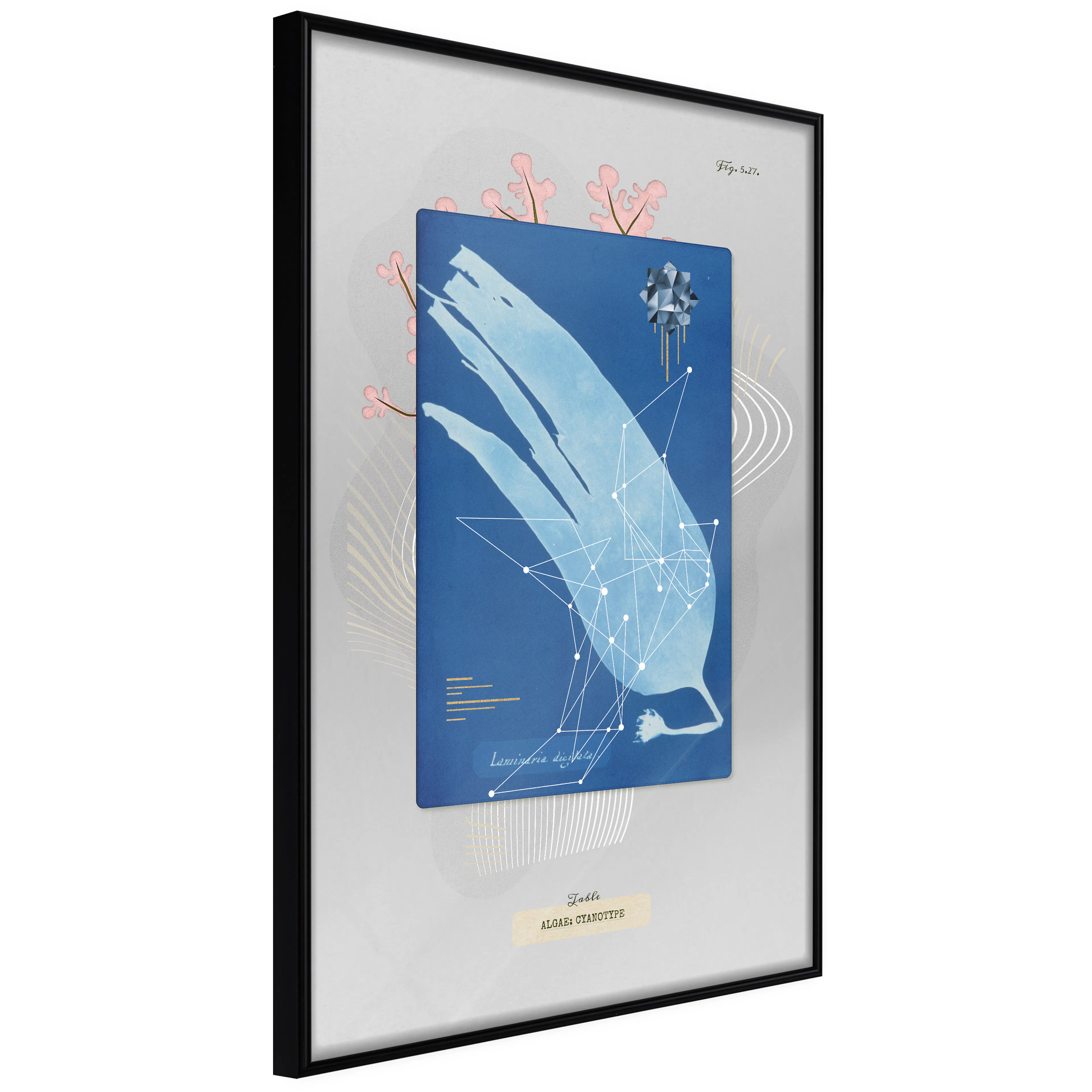 Affisch - Alga [Poster] 40x60 Svart ram, 40x60 cm