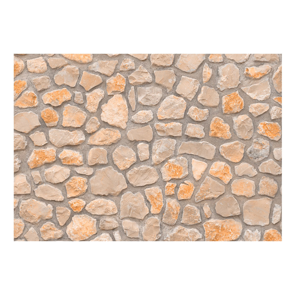 Fototapet Arkiio Stone Age