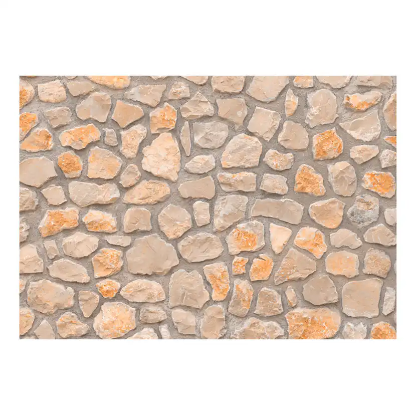 Fototapet Arkiio Stone Age