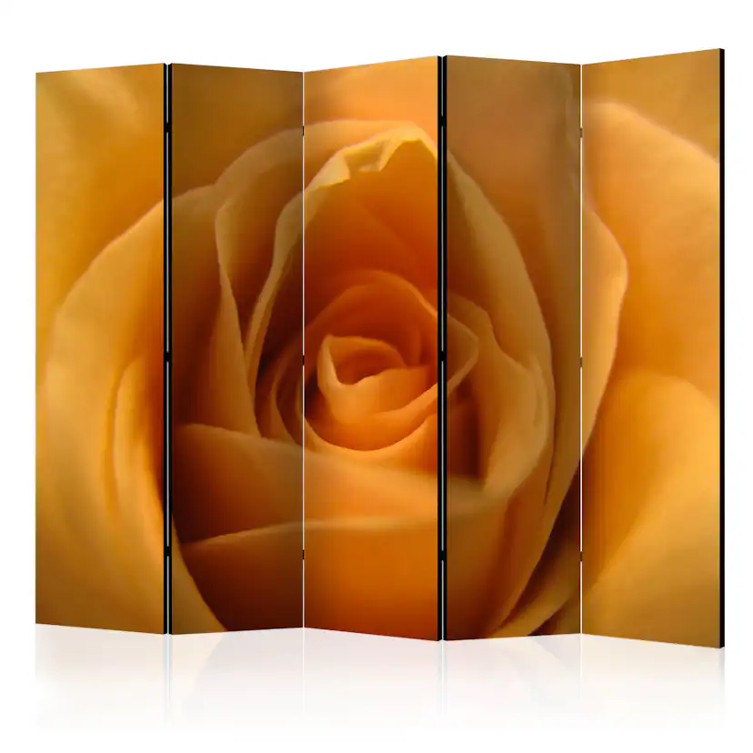 Rumsavdelare Arkiio Yellow Rose – A Symbol Of Friendship II 225x172 cm