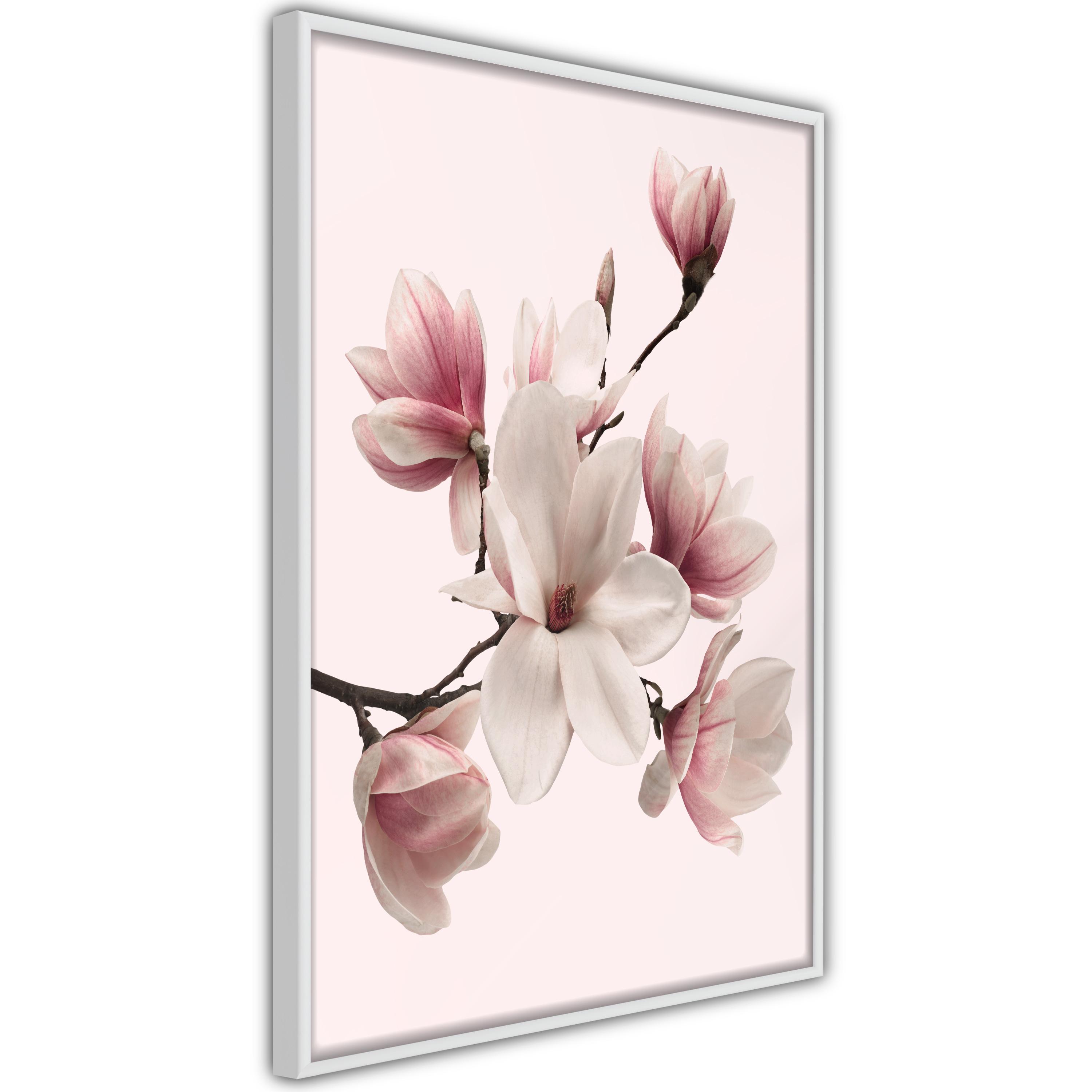 Poster Artgeist Affisch Delicate Magnolias