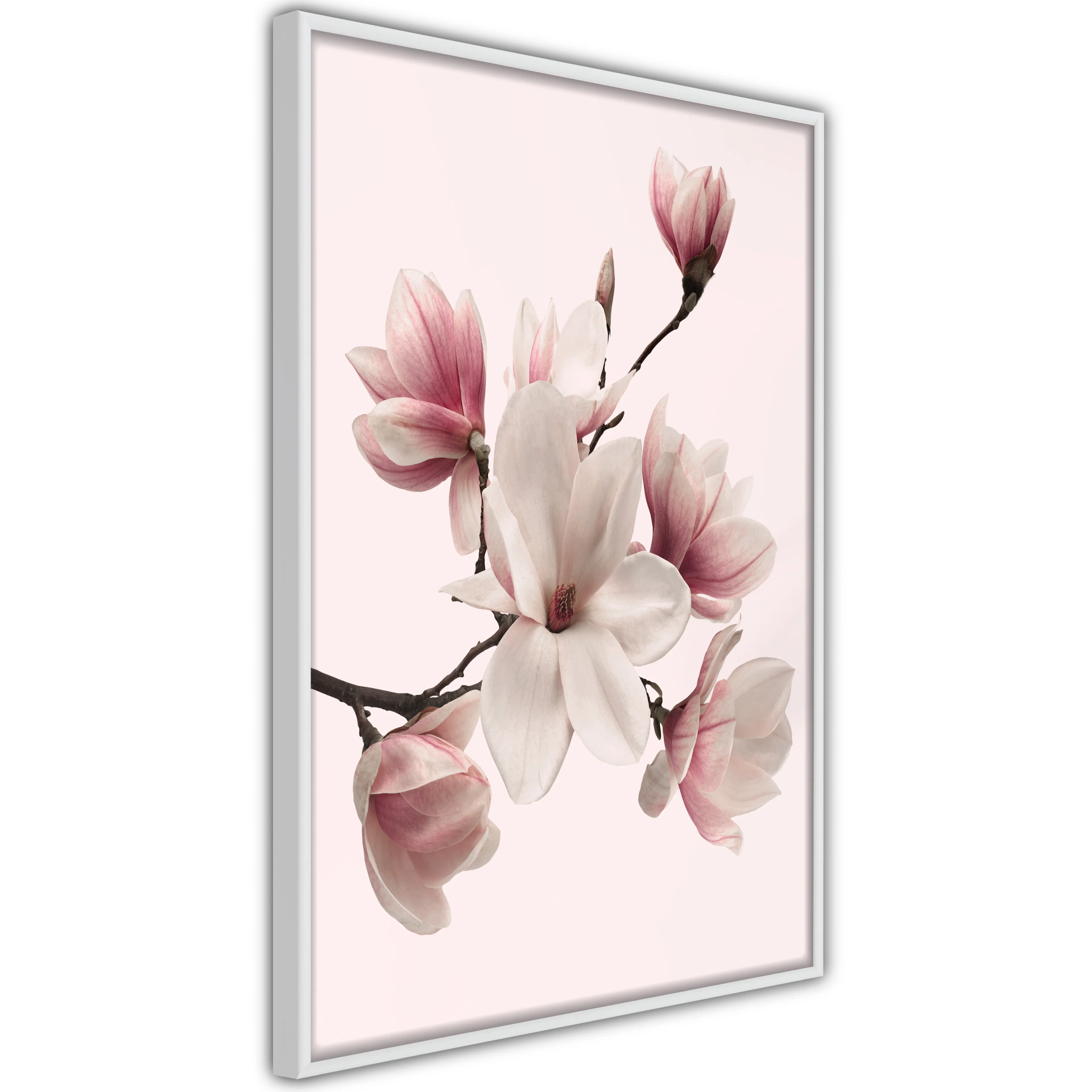 Poster Artgeist Affisch Delicate Magnolias