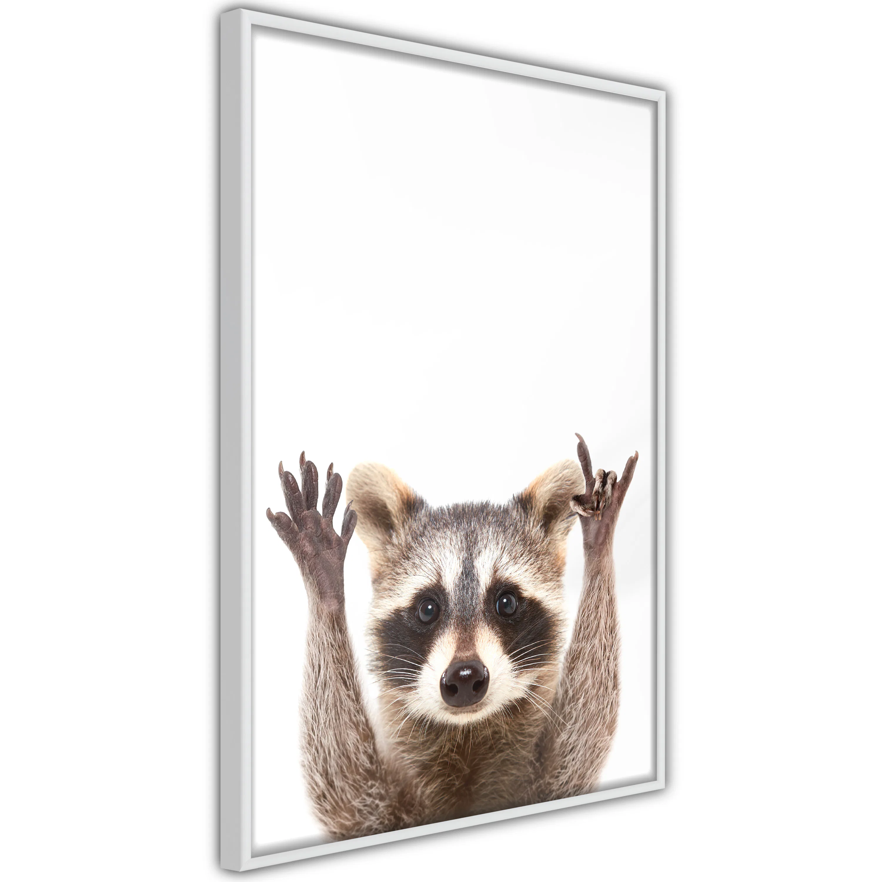 Poster Artgeist Affisch Raccoon