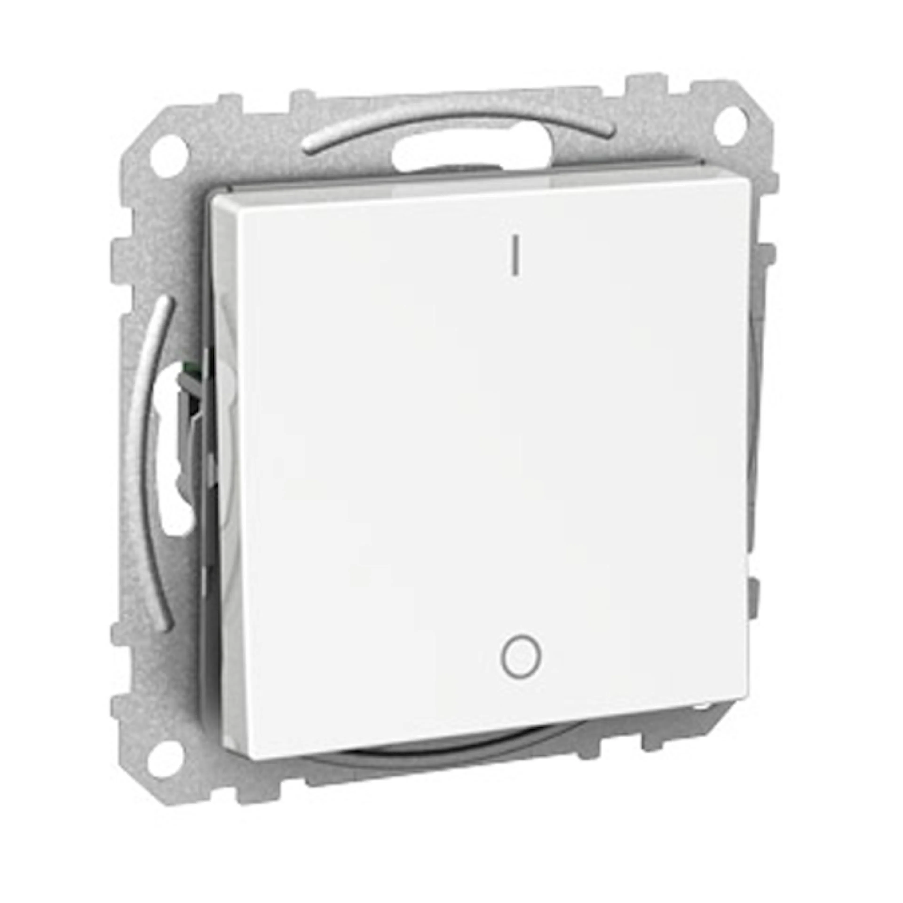 Strömbrytare Schneider Electric Exxact 2-pol Infälld