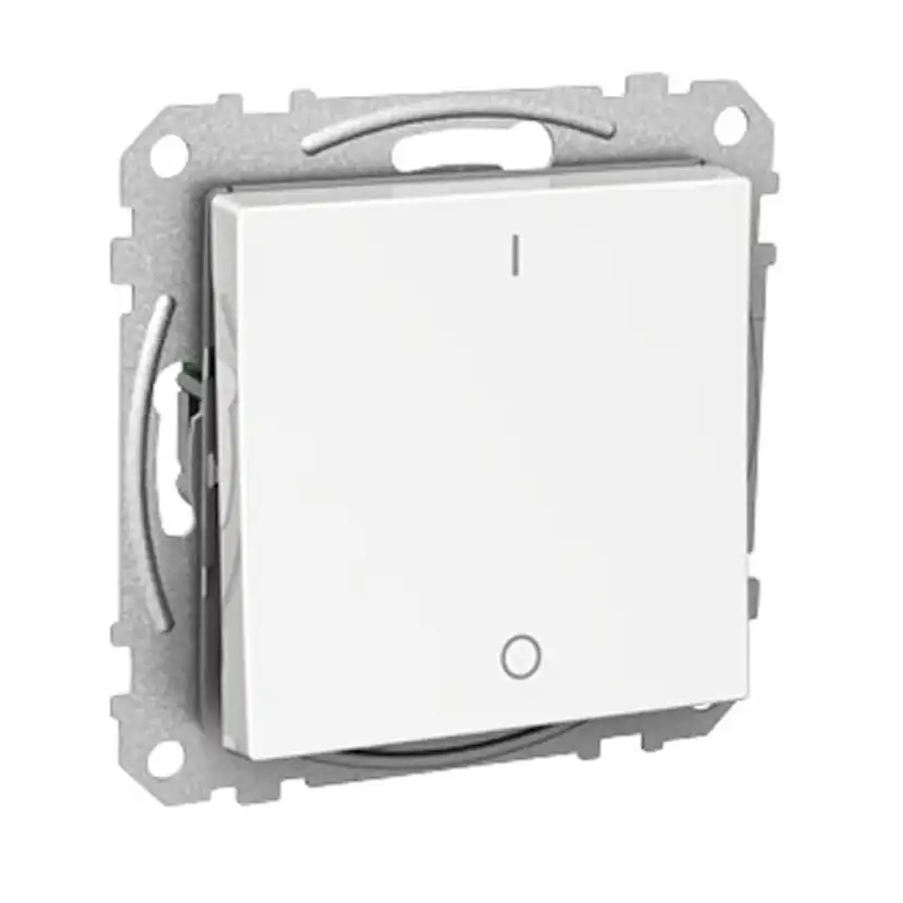 Strömbrytare Schneider Electric Exxact 2-pol Infälld