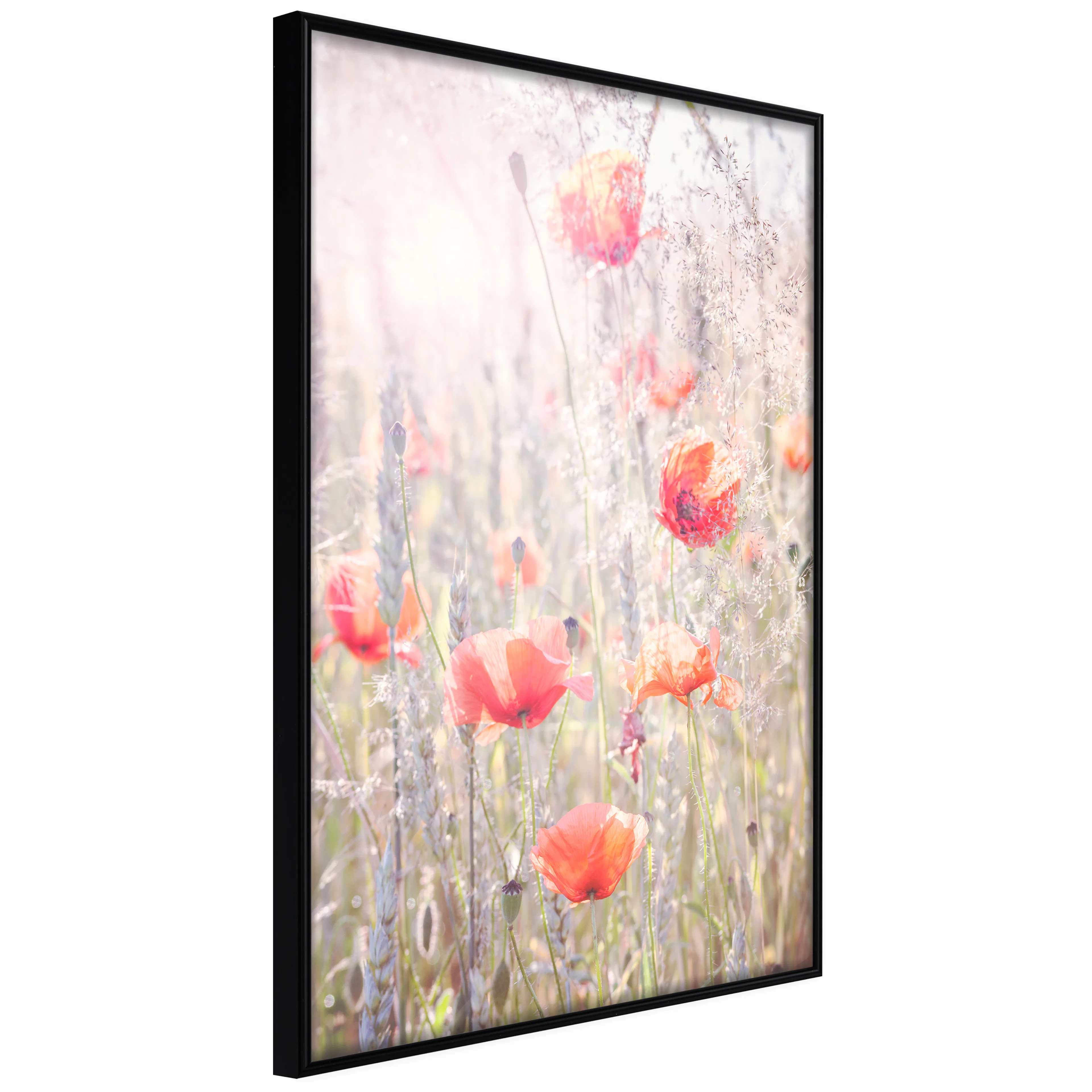 Affisch - Summer Meadow [Poster] 40x60 Svart ram, 40x60 cm