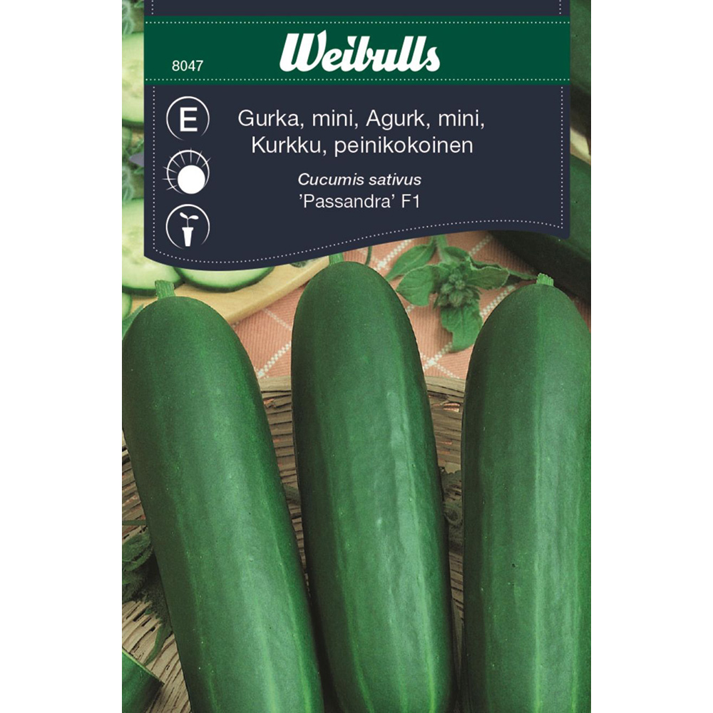 Frö Gurka Weibulls Passandra F1 Mini