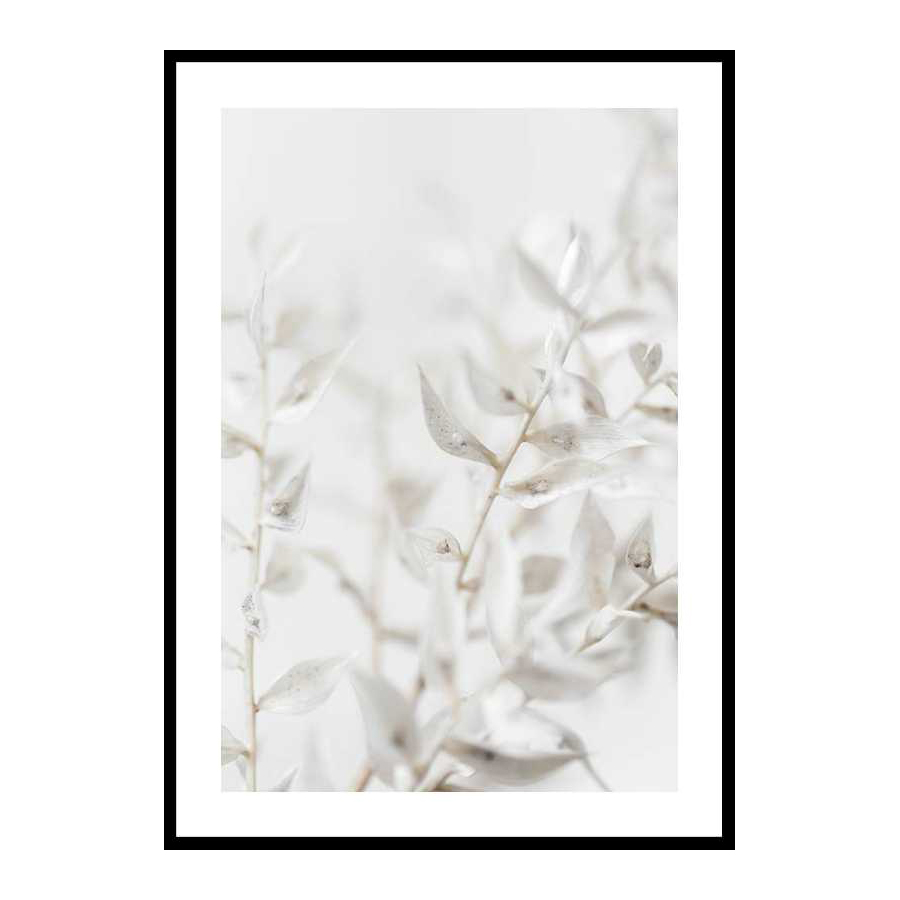 White Dried Flower 30x40 cm