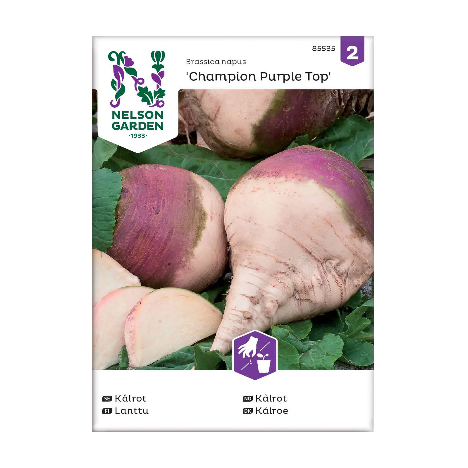 Frö Kålrot Nelson Garden Champion Purple Top