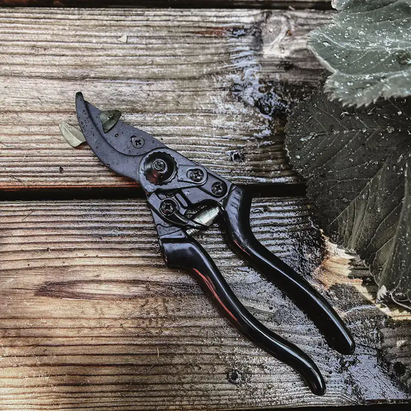 Sekatör by Benson Basic