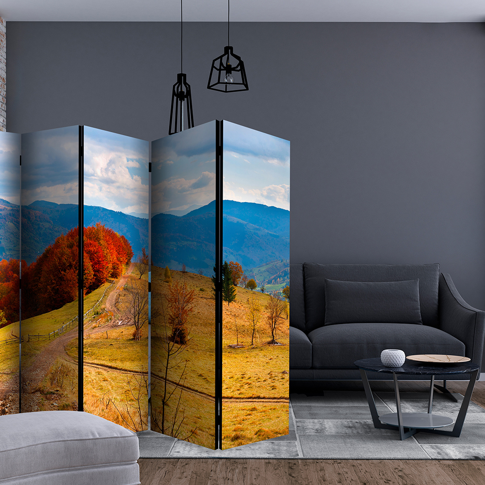 Rumsavdelare Arkiio Autumn Landscape In The Carpathian Mountains II 225x172 cm