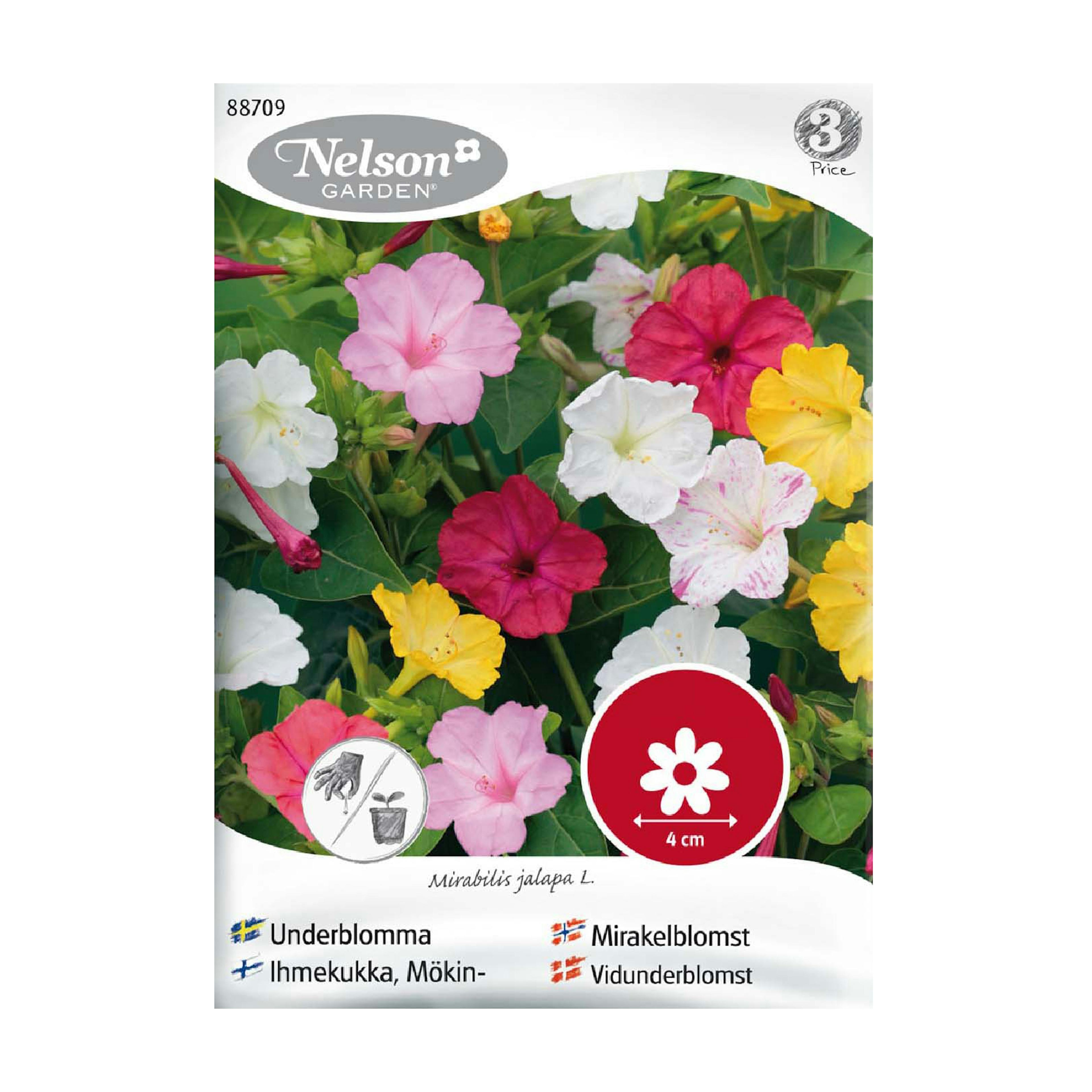 Frö Underblomma Nelson Garden Mix