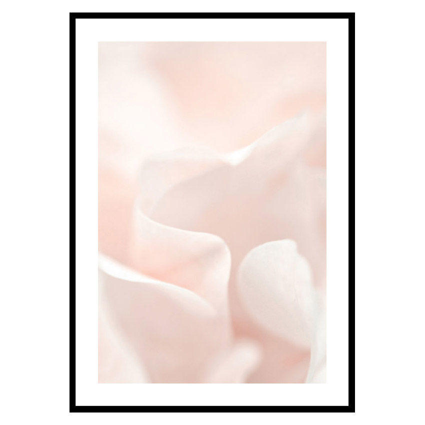 Poster Gallerix Tender Flowers No2