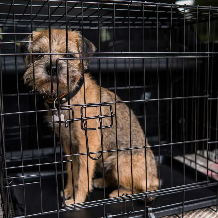 Hundbur Trekker Lättmetall S