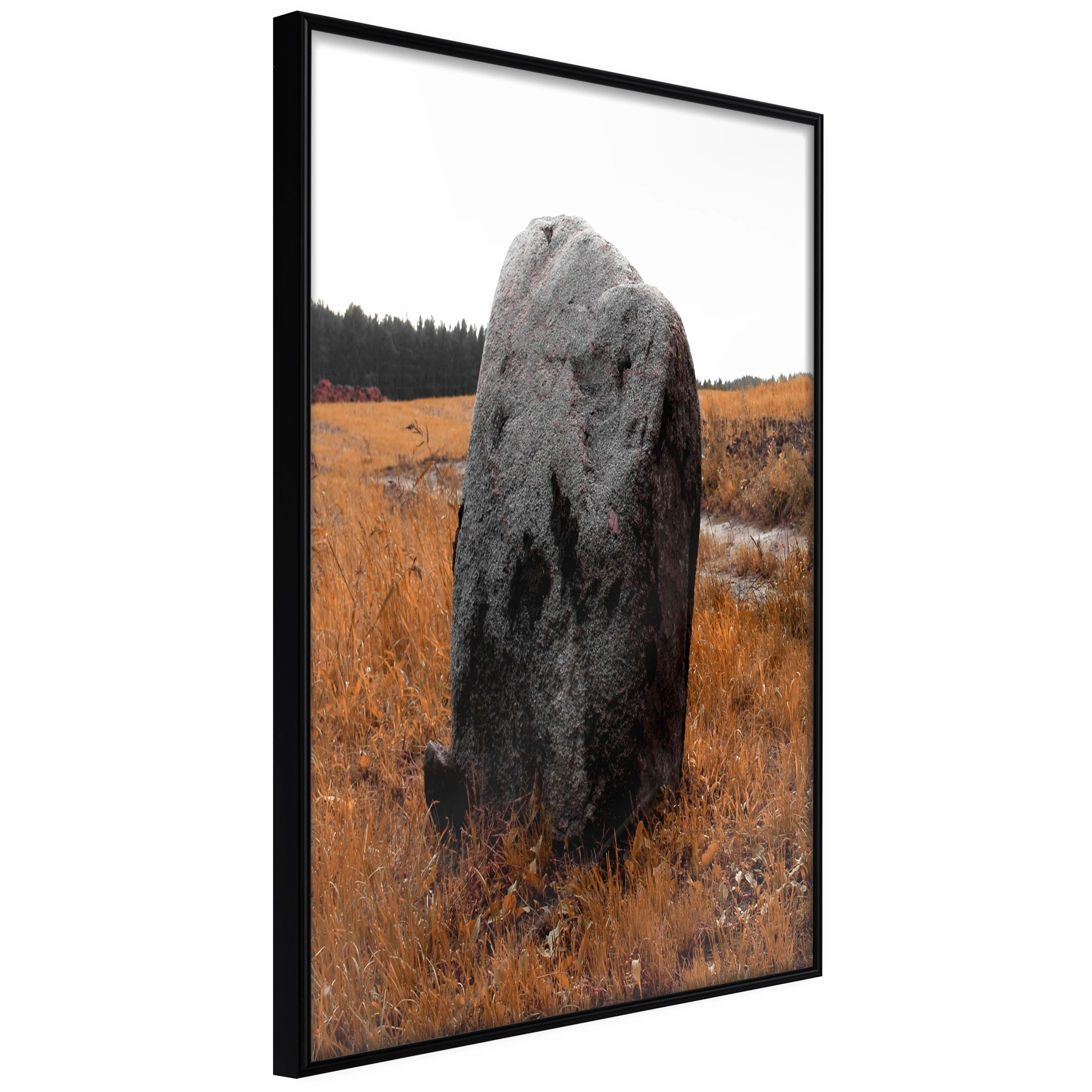 Affisch - Field Signpost [Poster] 40x60 Svart ram, 40x60 cm