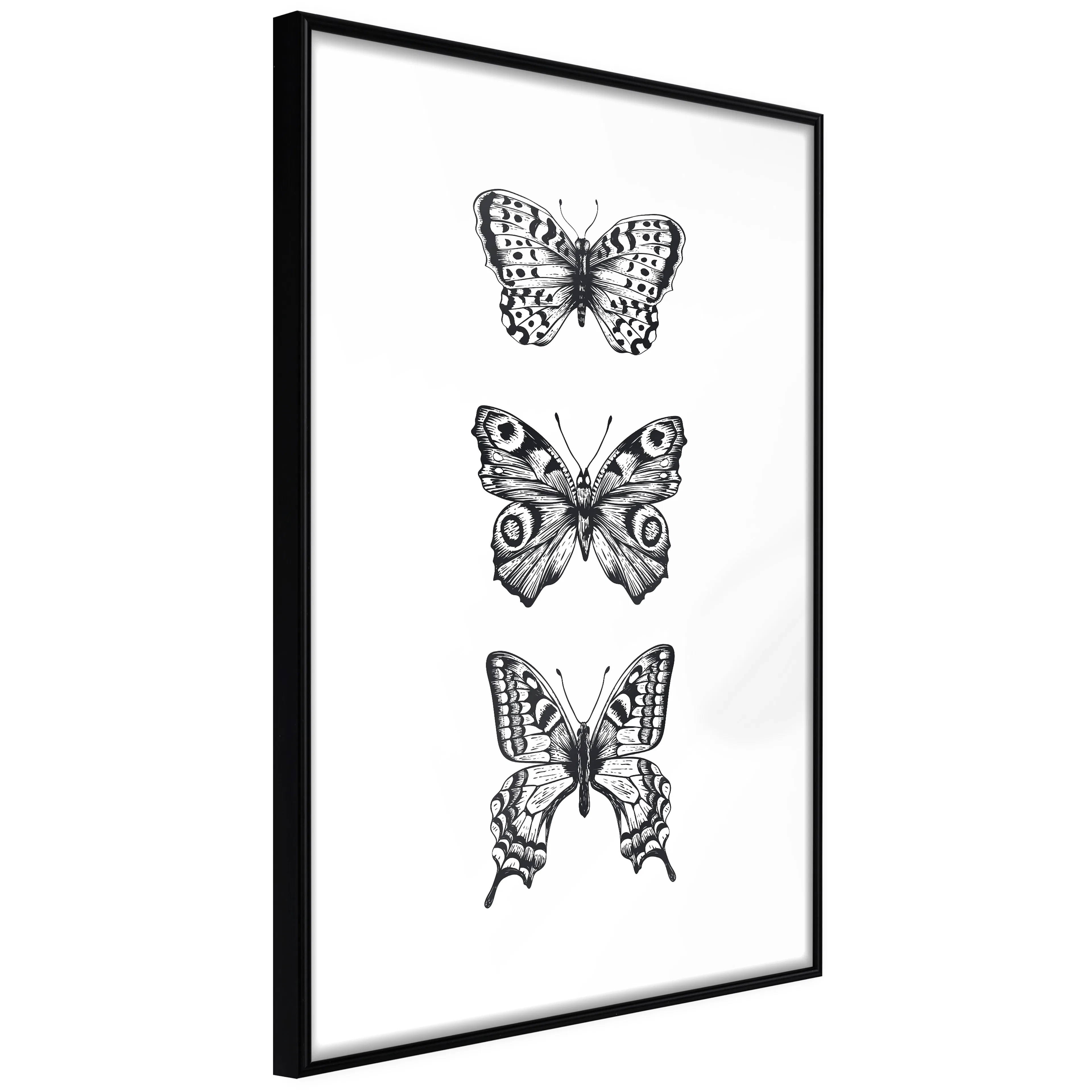 Affisch - Three Butterflies [Poster] 40x60 Svart ram, 40x60 cm