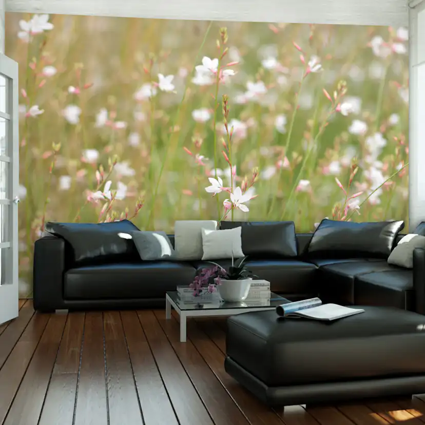 Fototapet Arkiio Vita Känsliga Blommor
