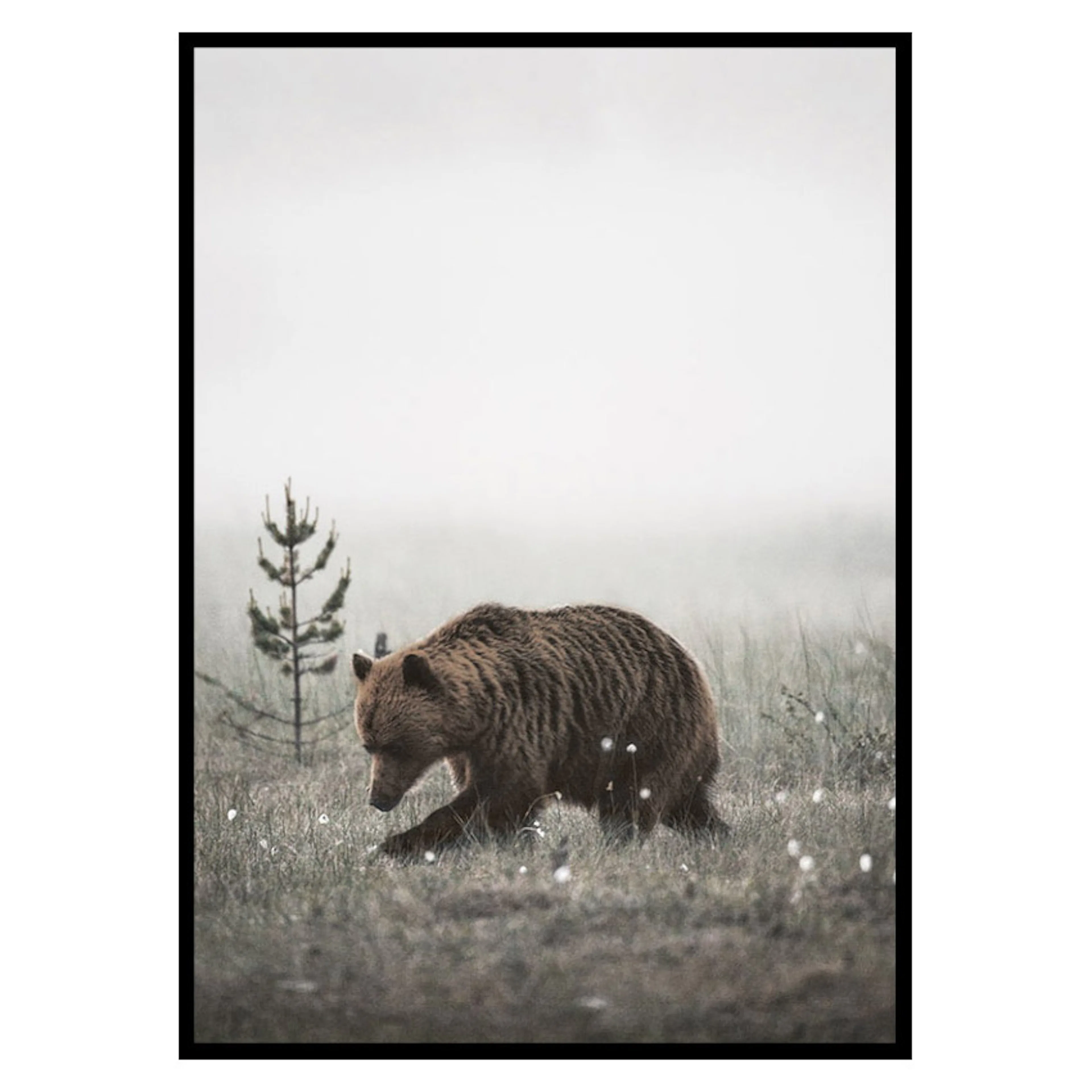Poster Gallerix Winter Bear