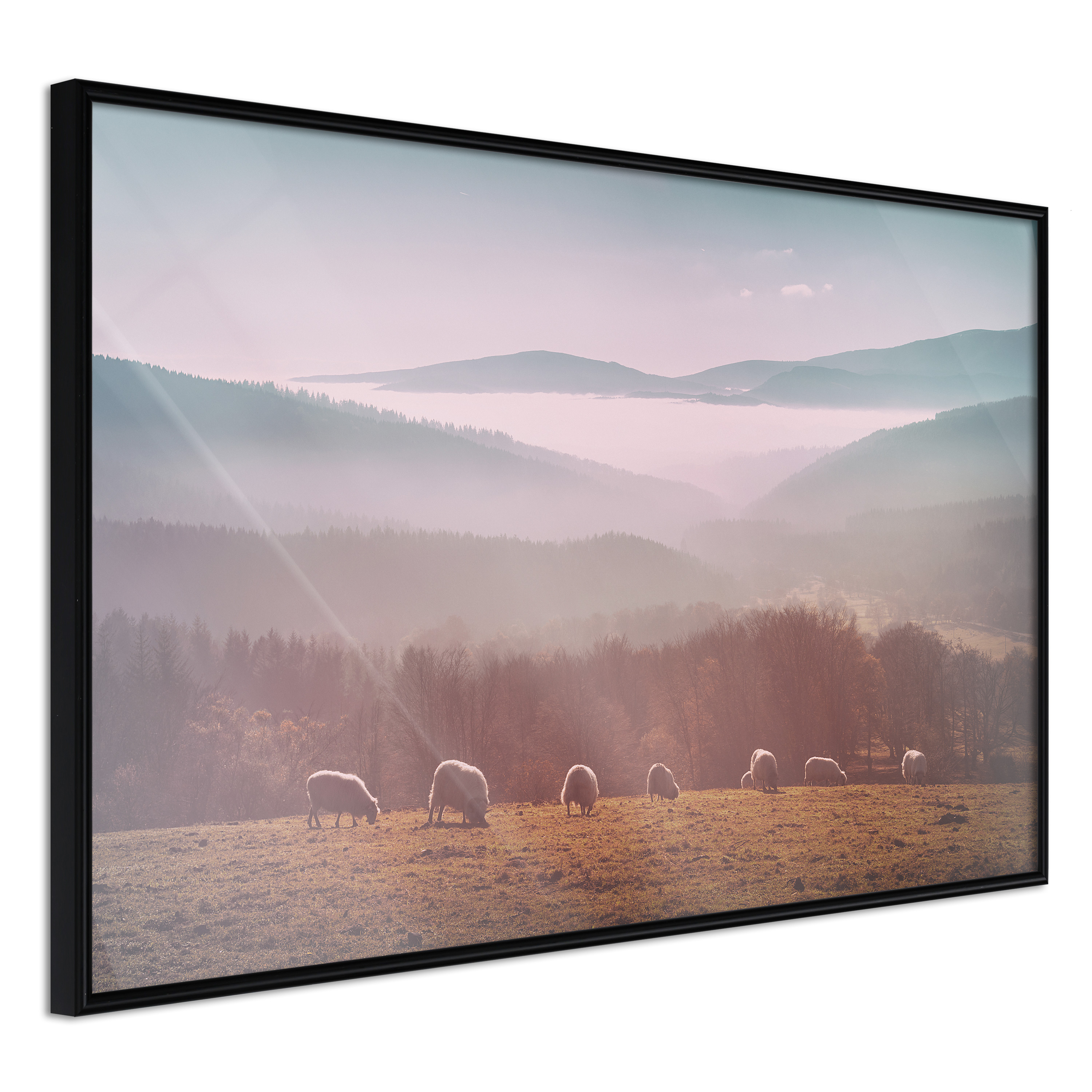 Affisch - Flock of Sheep [Poster] 45x30 Svart ram, 45x30 cm