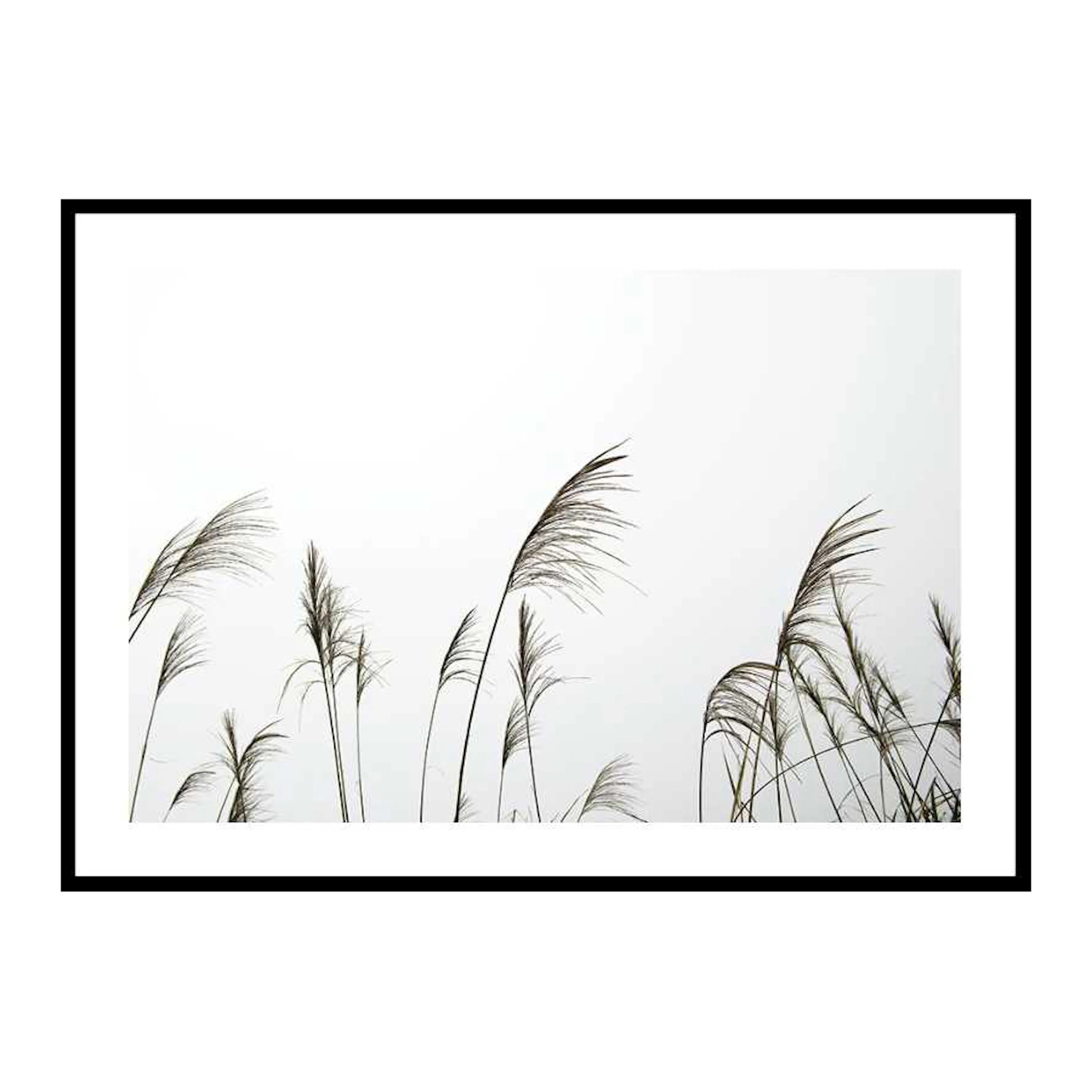 Reed Flowers 30x40 cm