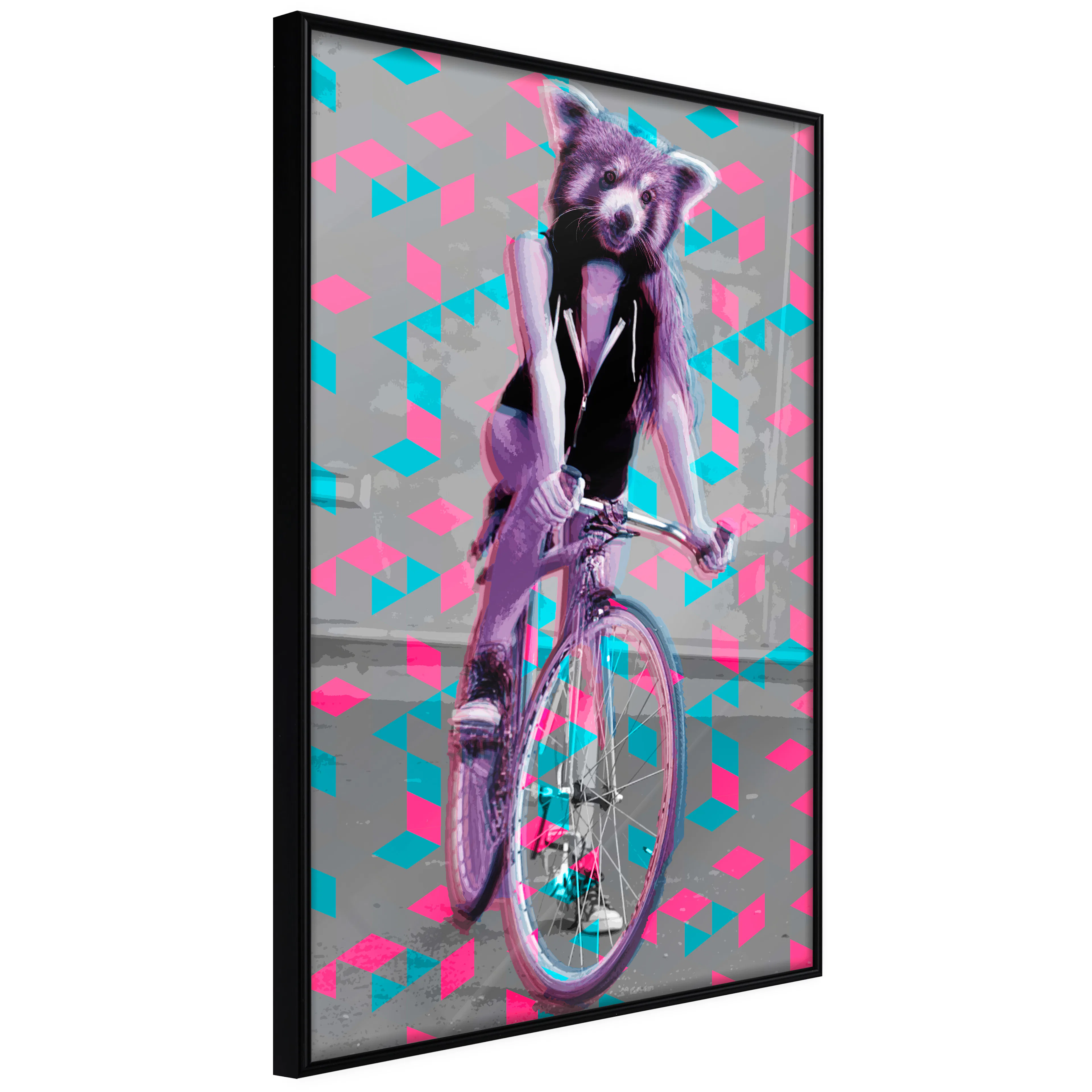 Affisch - Raccoon On The Bike [Poster] 40x60 Svart ram, 40x60 cm
