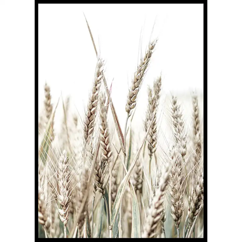 Poster Gallerix Growing Wild