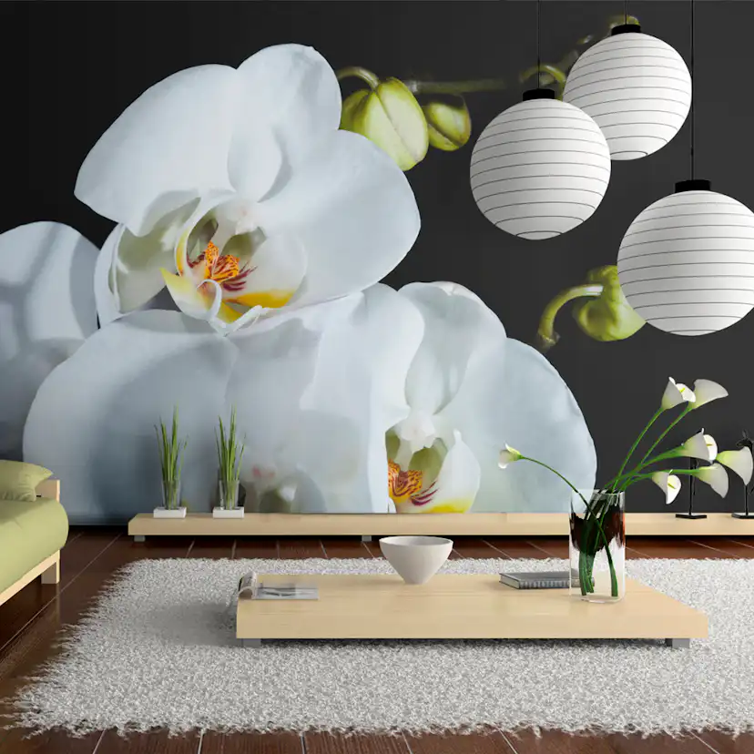 Fototapet Arkiio Phalaenopsis 450x270 cm
