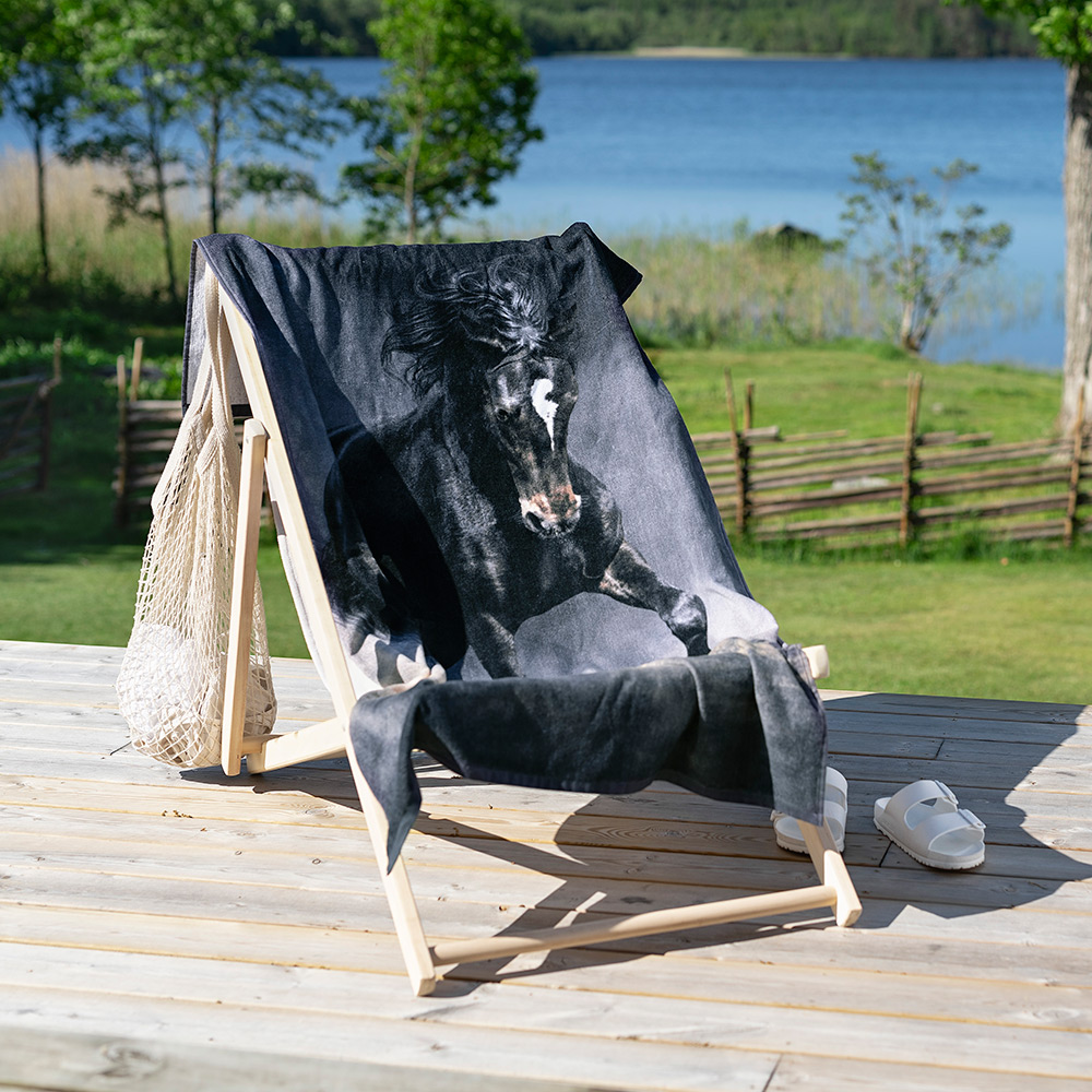 Badlakan Borganäs of Sweden Häst